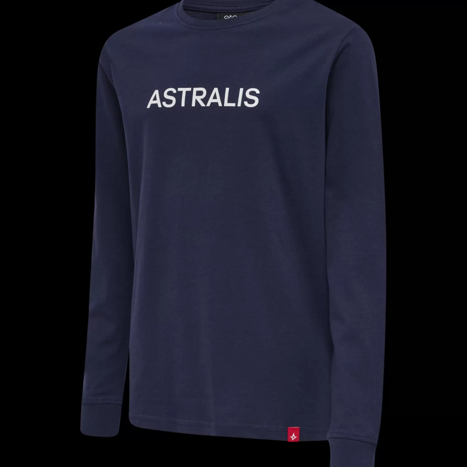 Hummel Club jerseys<ASTRALIS 21/22 T-SHIRT L/S KIDS