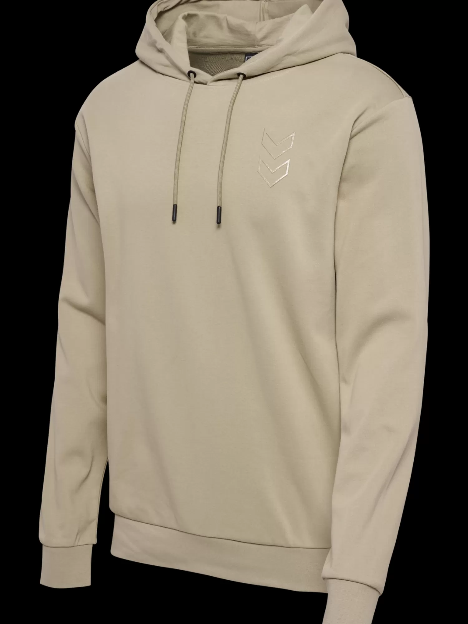 Hummel Training jerseys | Hoodies and sweatshirts<hmlACTIVE CO HOODIE