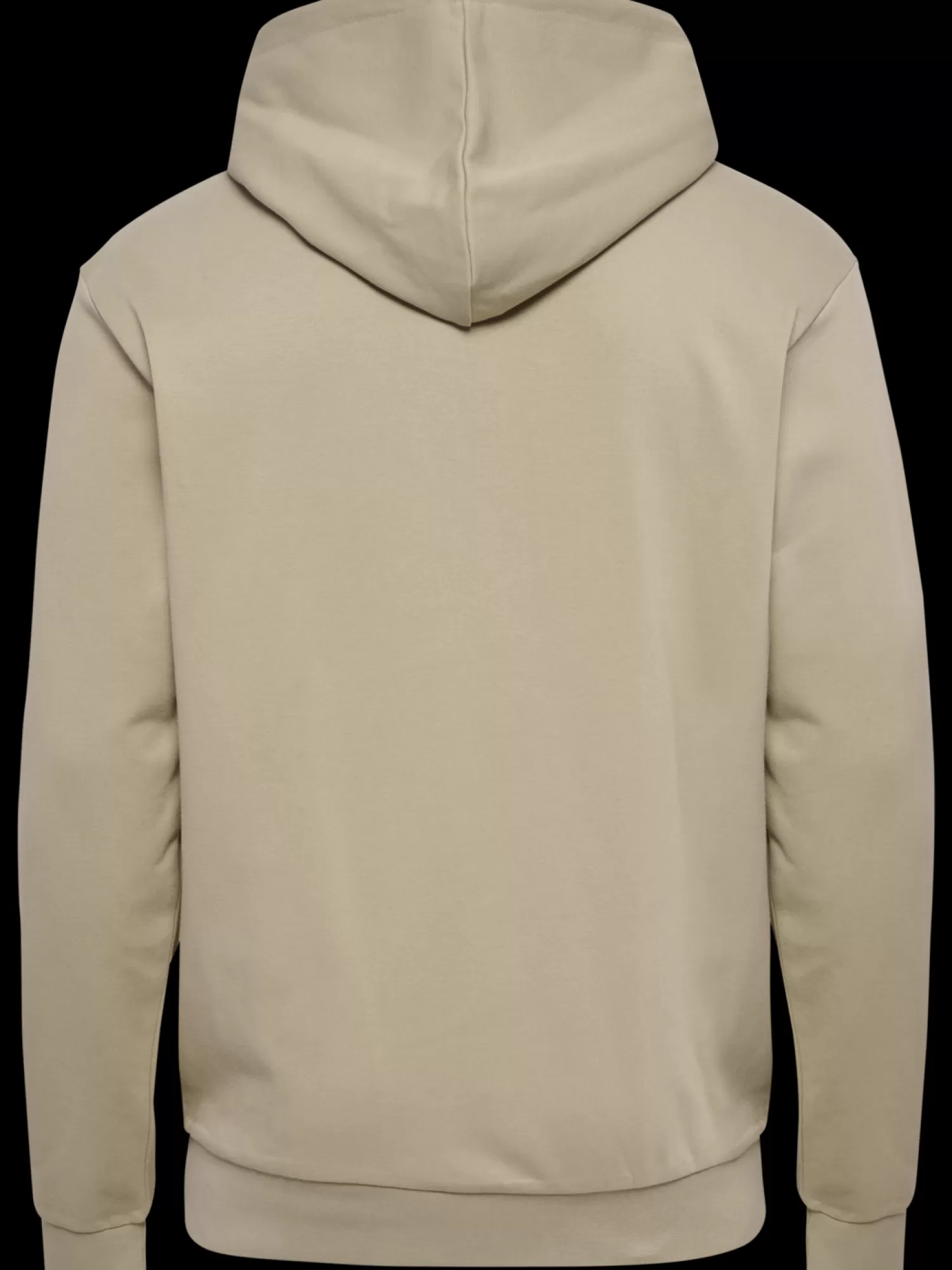 Hummel Training jerseys | Hoodies and sweatshirts<hmlACTIVE CO HOODIE