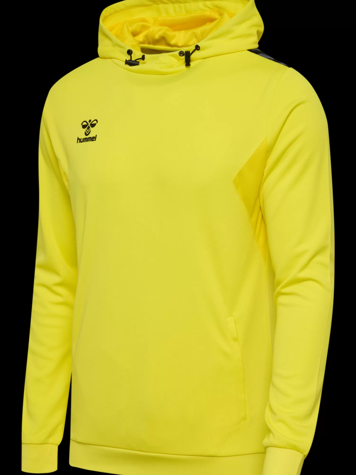 Hummel Handball jerseys | Football jerseys<hmlAUTHENTIC PL HOODIE