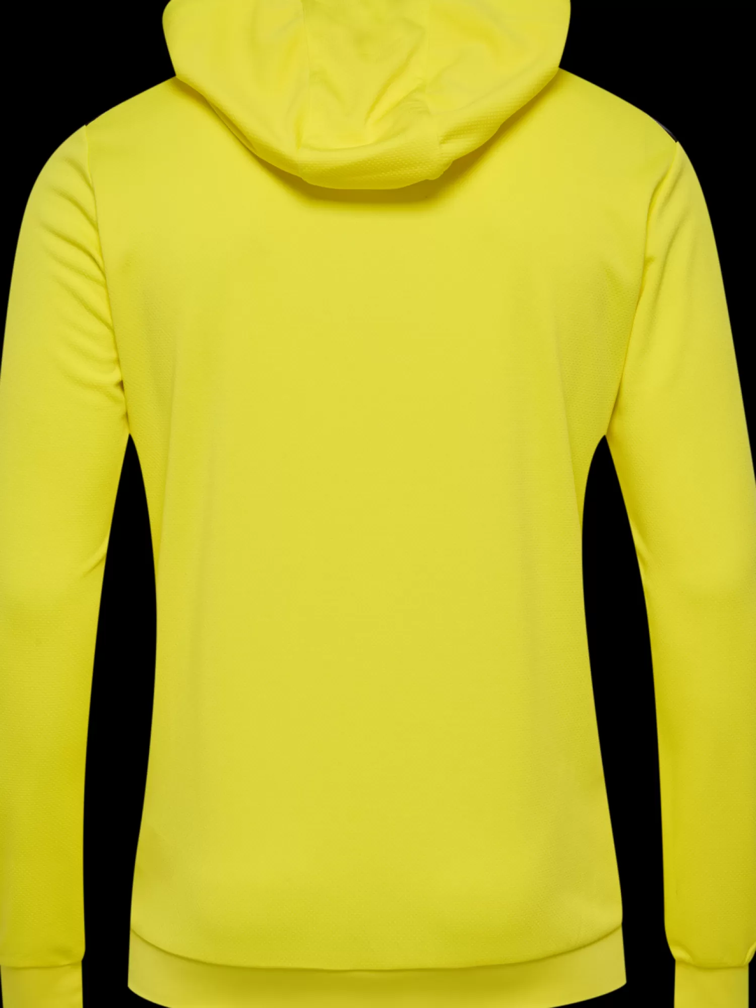 Hummel Handball jerseys | Football jerseys<hmlAUTHENTIC PL HOODIE