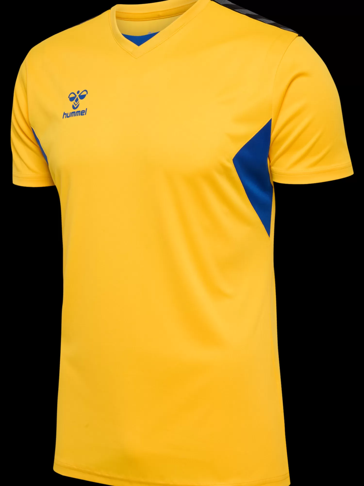 Hummel Handball jerseys | Football jerseys<hmlAUTHENTIC PL JERSEY S/S