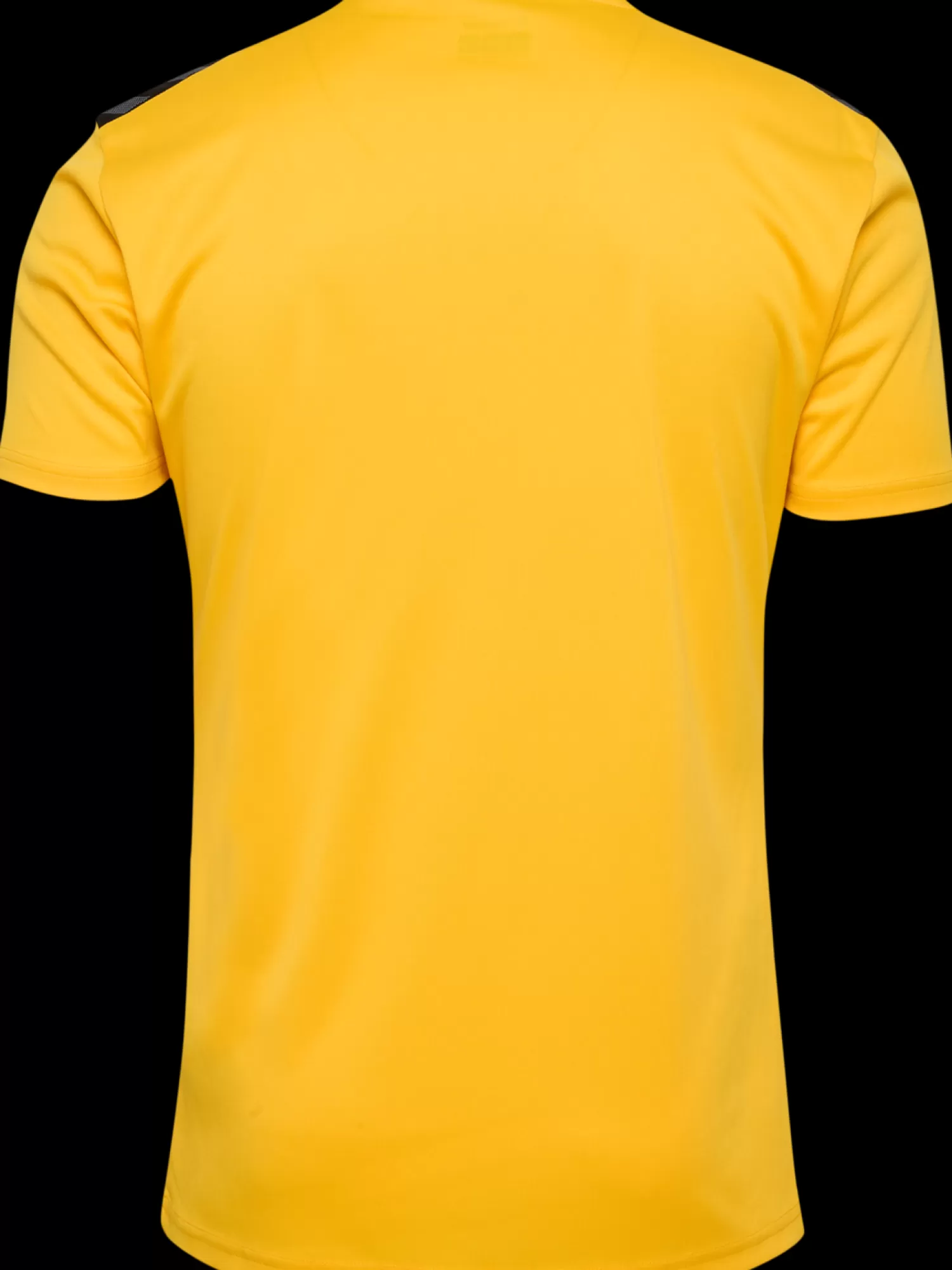 Hummel Handball jerseys | Football jerseys<hmlAUTHENTIC PL JERSEY S/S