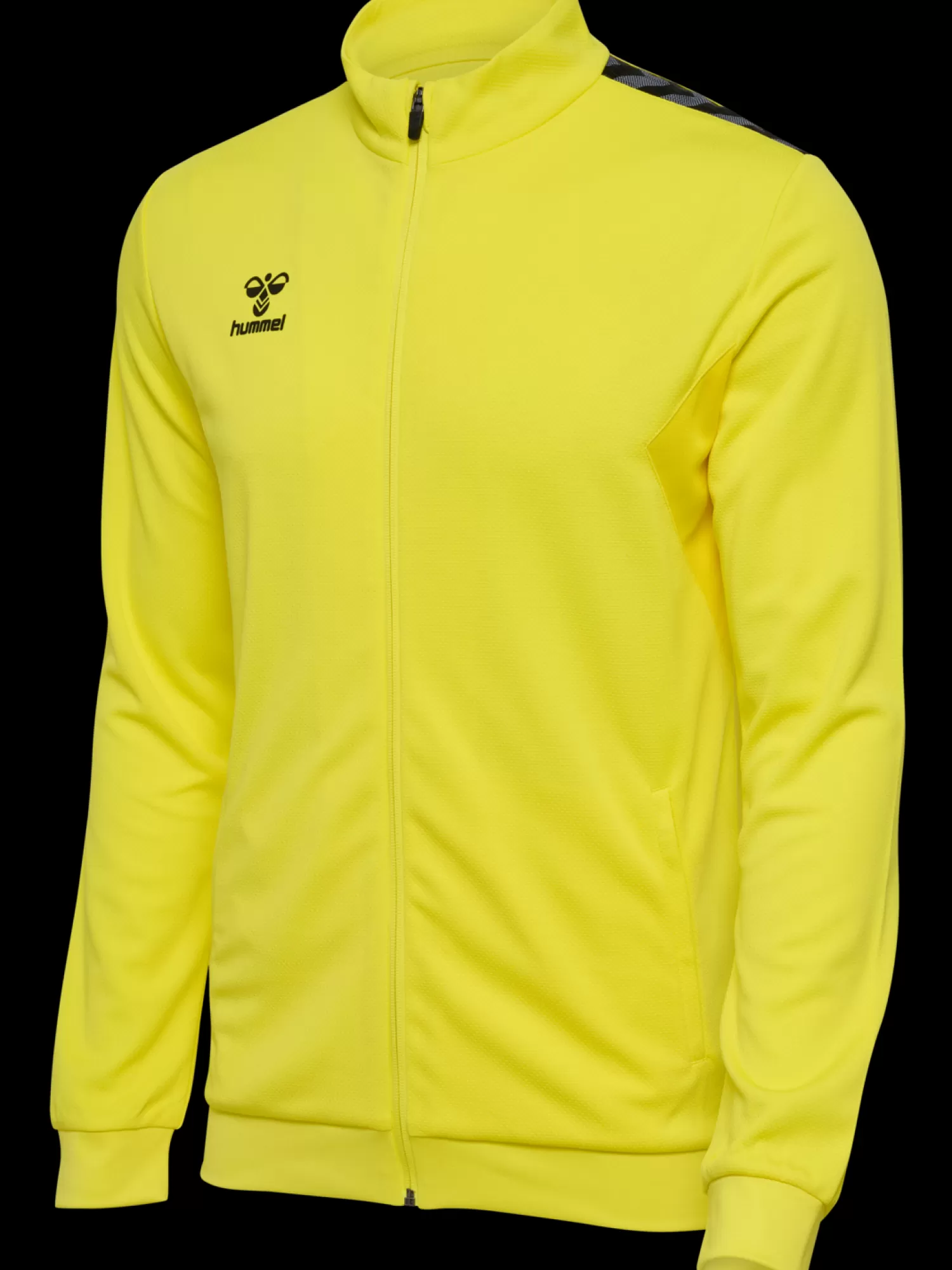 Hummel Handball jerseys | Football jerseys<hmlAUTHENTIC PL ZIP JACKET