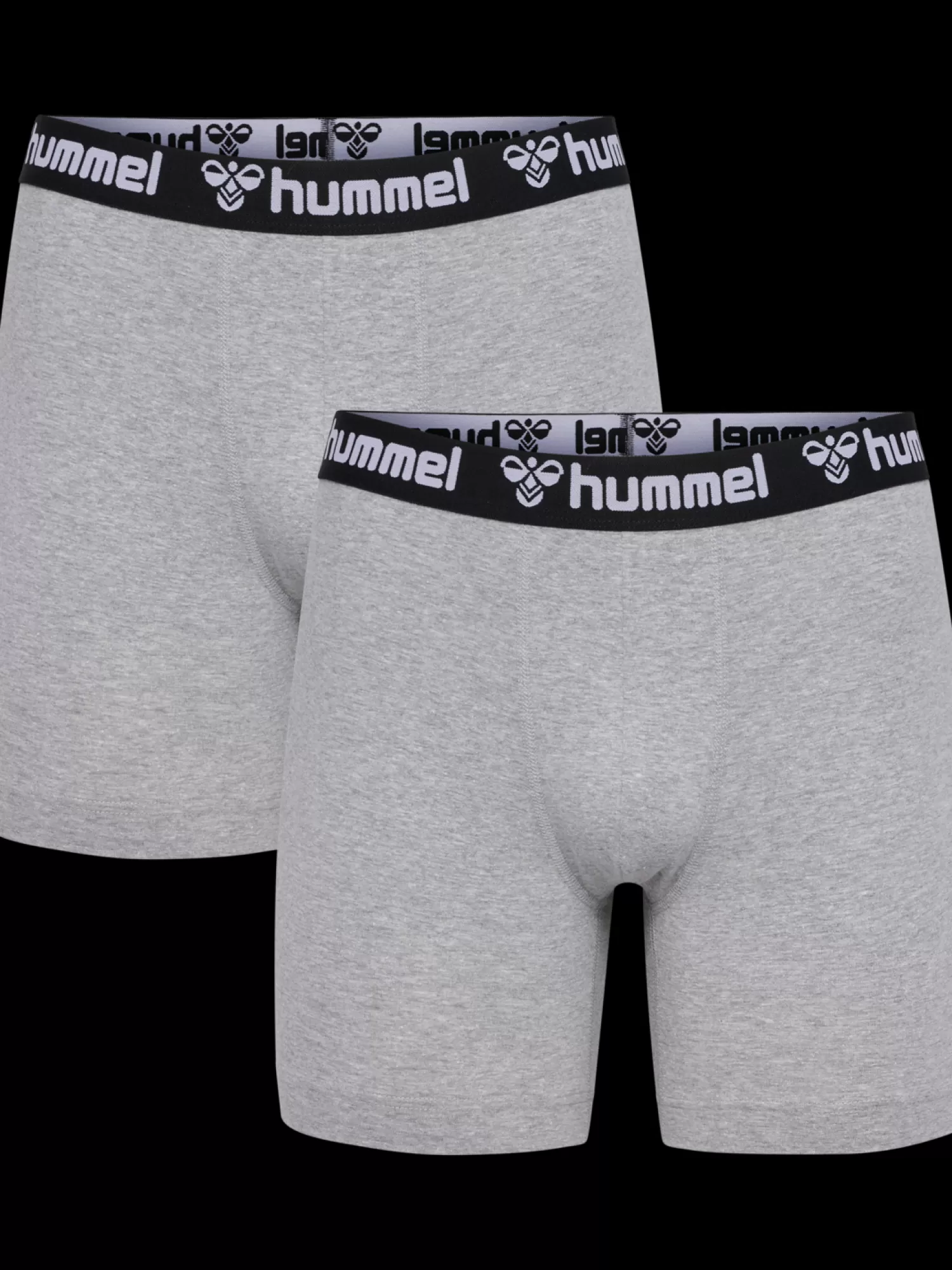 Hummel Underwear and socks<hmlBOXERS 2-PACK