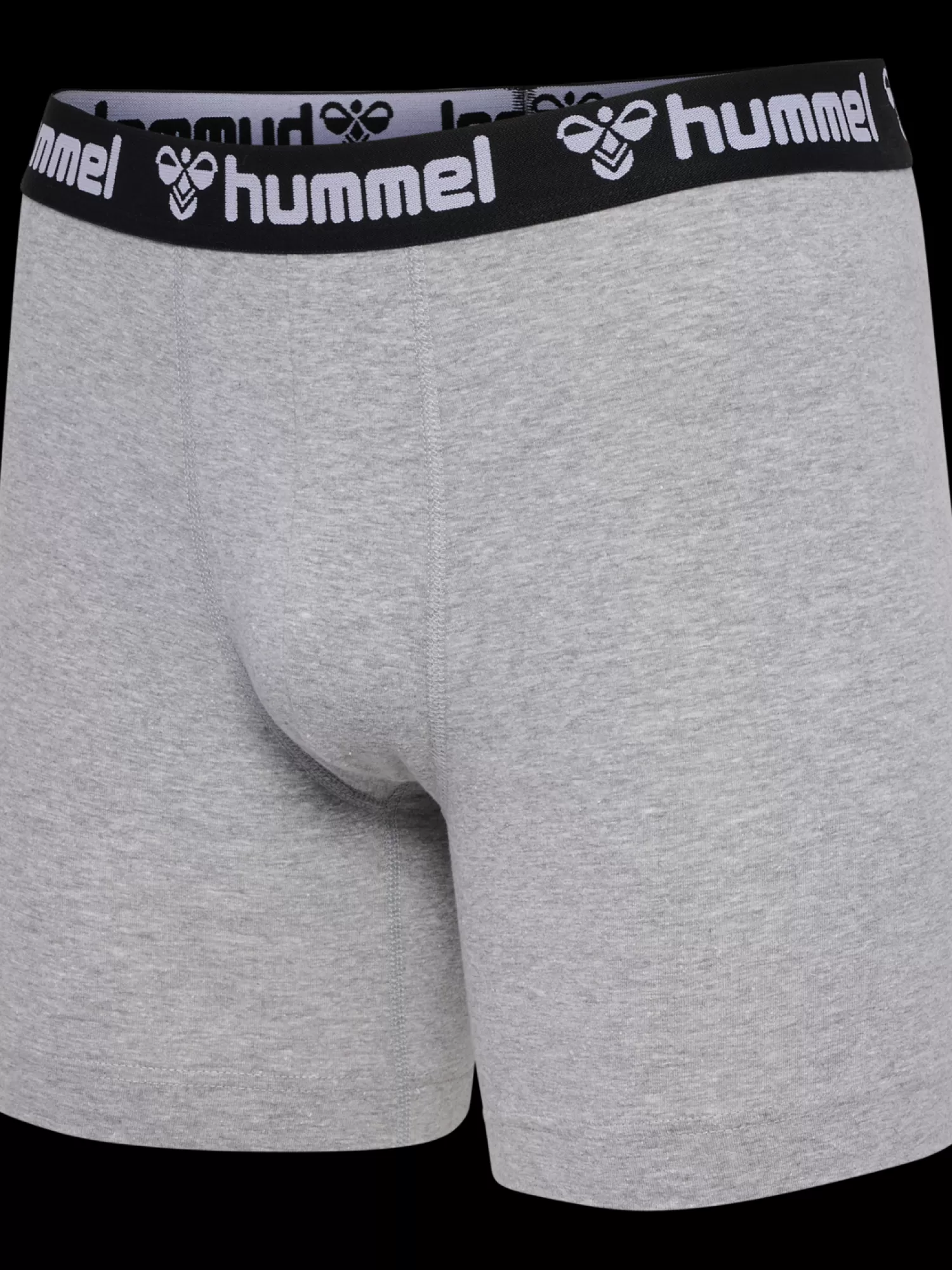 Hummel Underwear and socks<hmlBOXERS 2-PACK