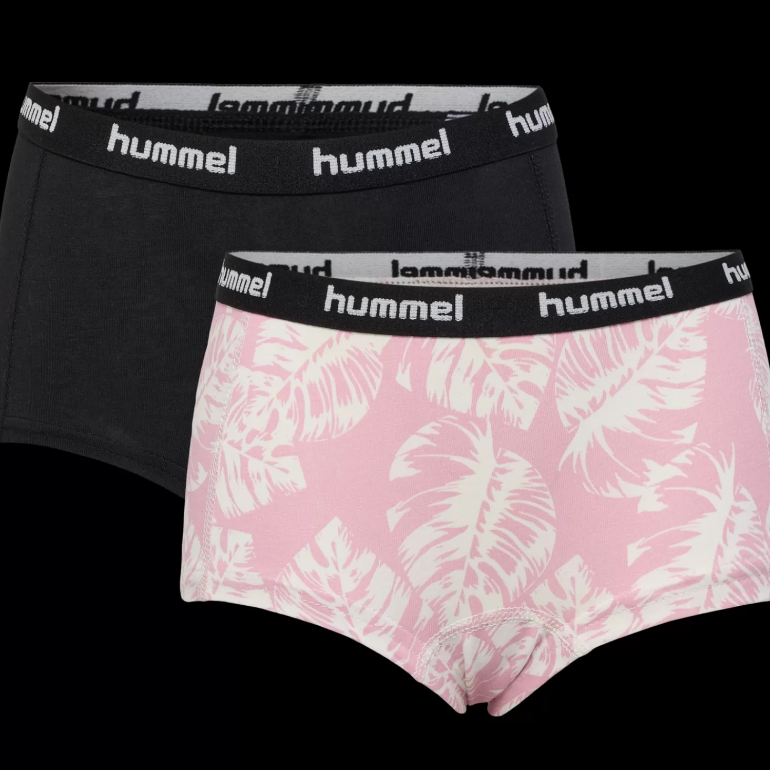 Hummel Underwear and nightwear<hmlCAROLINA HIPSTERS 2-PACK