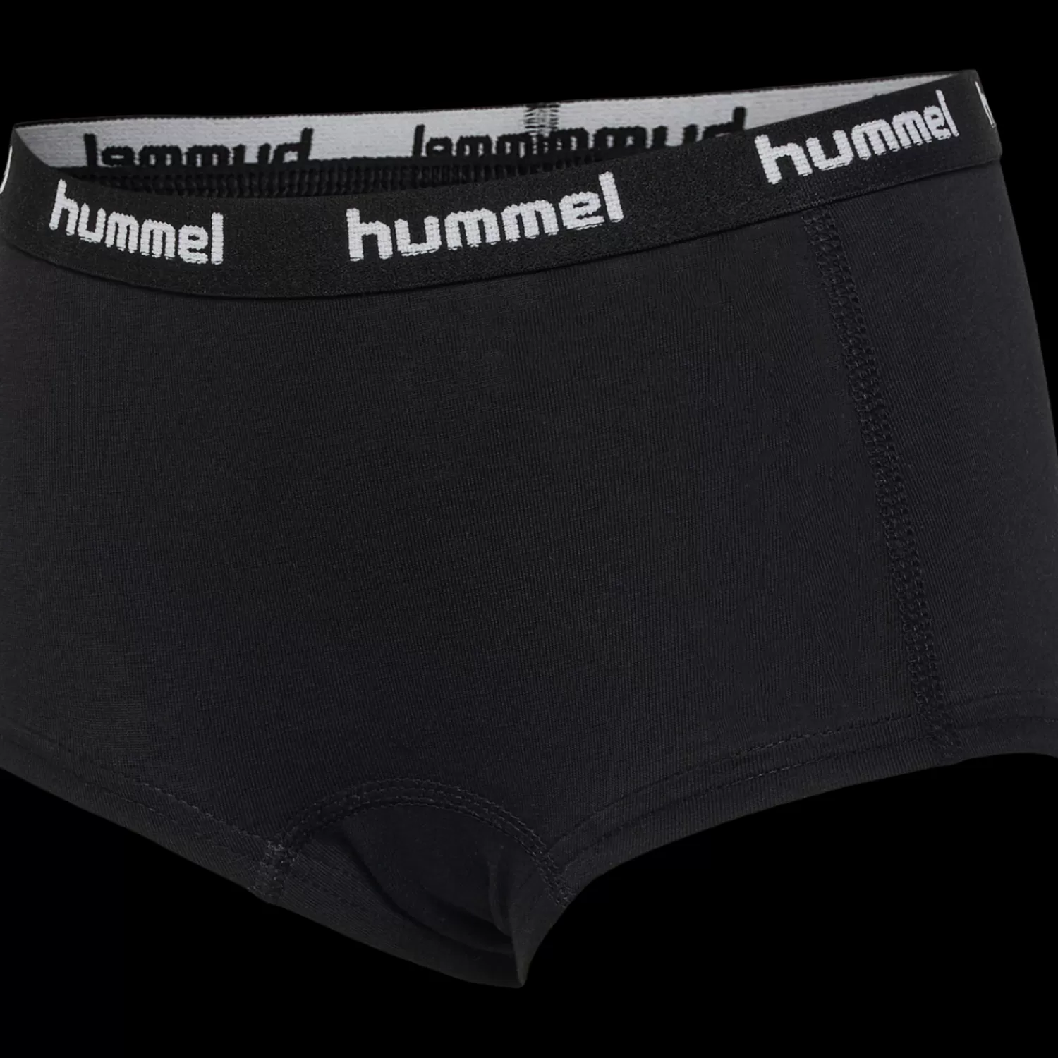 Hummel Underwear and nightwear<hmlCAROLINA HIPSTERS 2-PACK