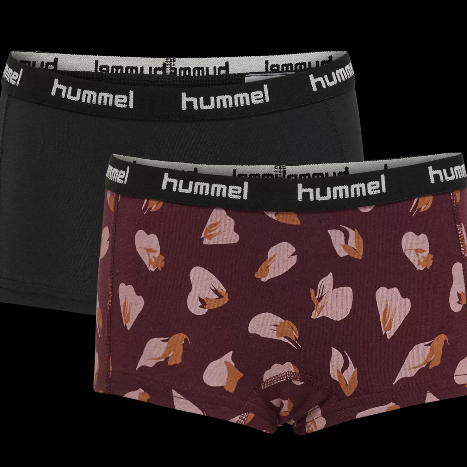 Hummel Underwear and nightwear<hmlCAROLINA HIPSTERS 2-PACK