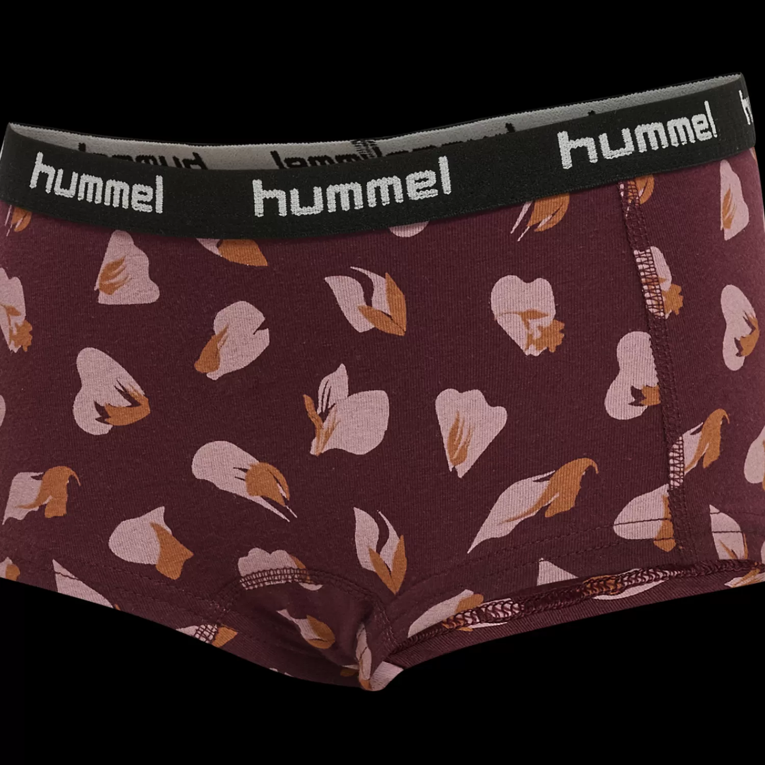 Hummel Underwear and nightwear<hmlCAROLINA HIPSTERS 2-PACK