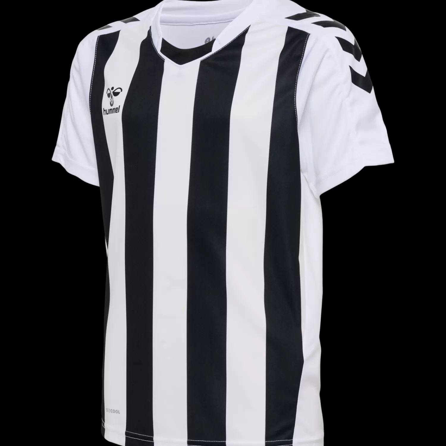 Hummel Handball jerseys | Football jerseys<hmlCORE XK STRIPED JERSEY S/S KIDS