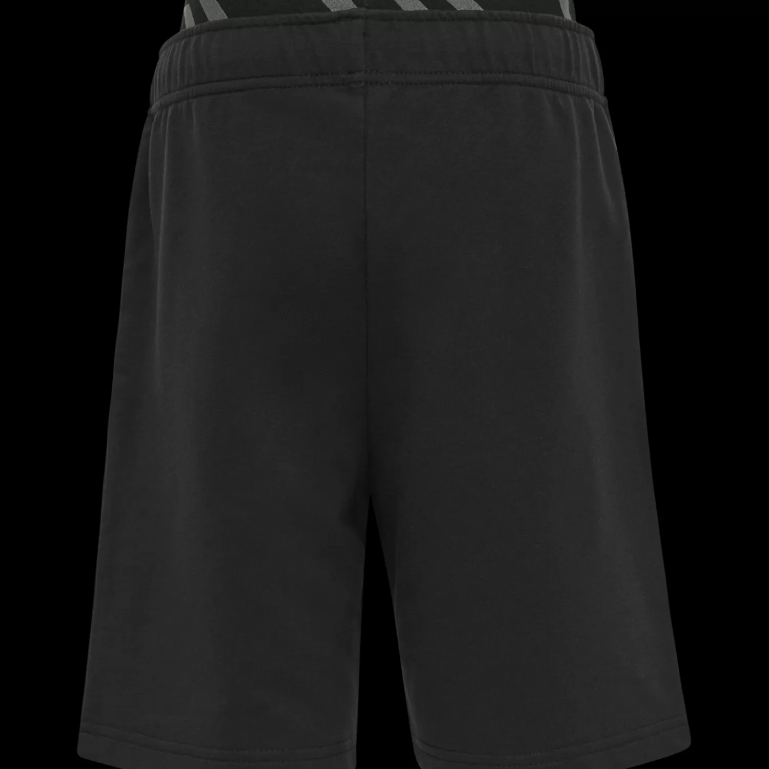 Hummel Shorts | Shorts<hmlEDWARD SHORTS