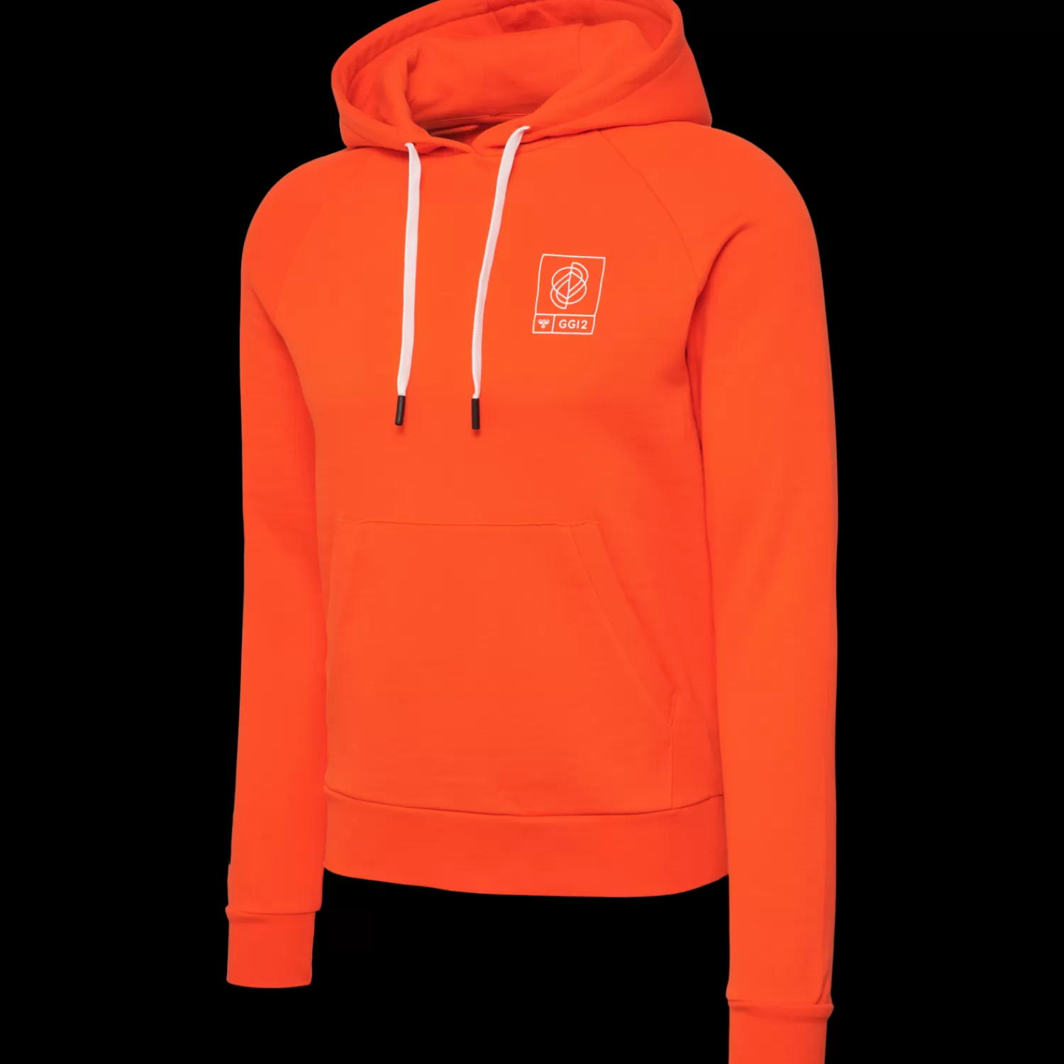 Hummel Hoodies and sweatshirts<hmlGG12 SWEAT HOODIE WOMAN