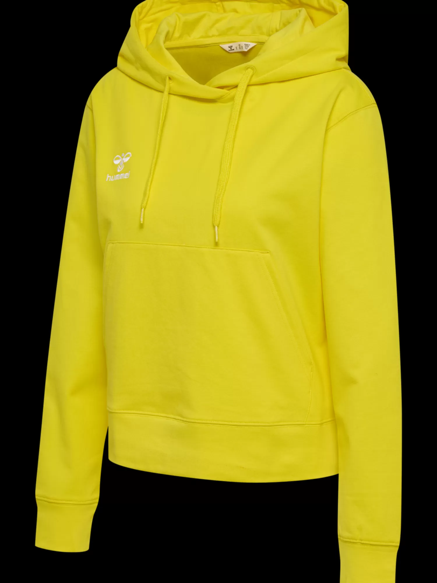 Hummel Hoodies and sweatshirts<hmlGO 2.0 HOODIE WOMAN