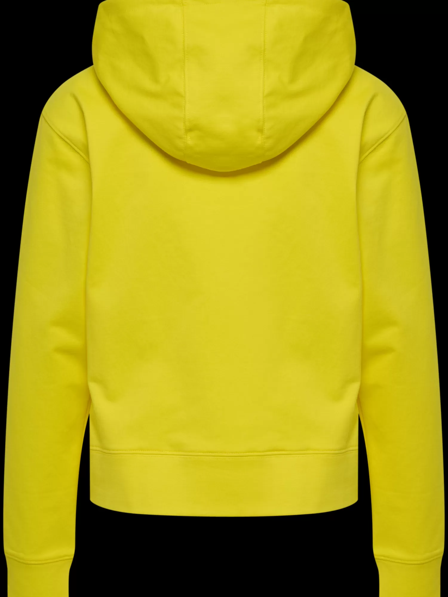 Hummel Hoodies and sweatshirts<hmlGO 2.0 HOODIE WOMAN