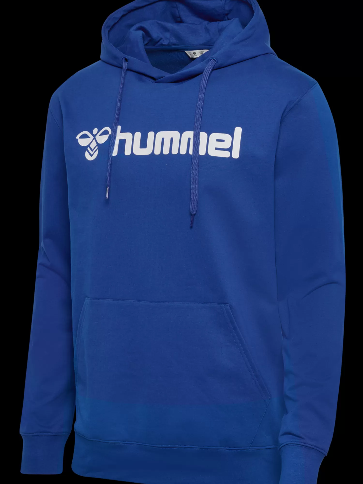 Hummel Hoodies and sweatshirts<hmlGO 2.0 LOGO HOODIE