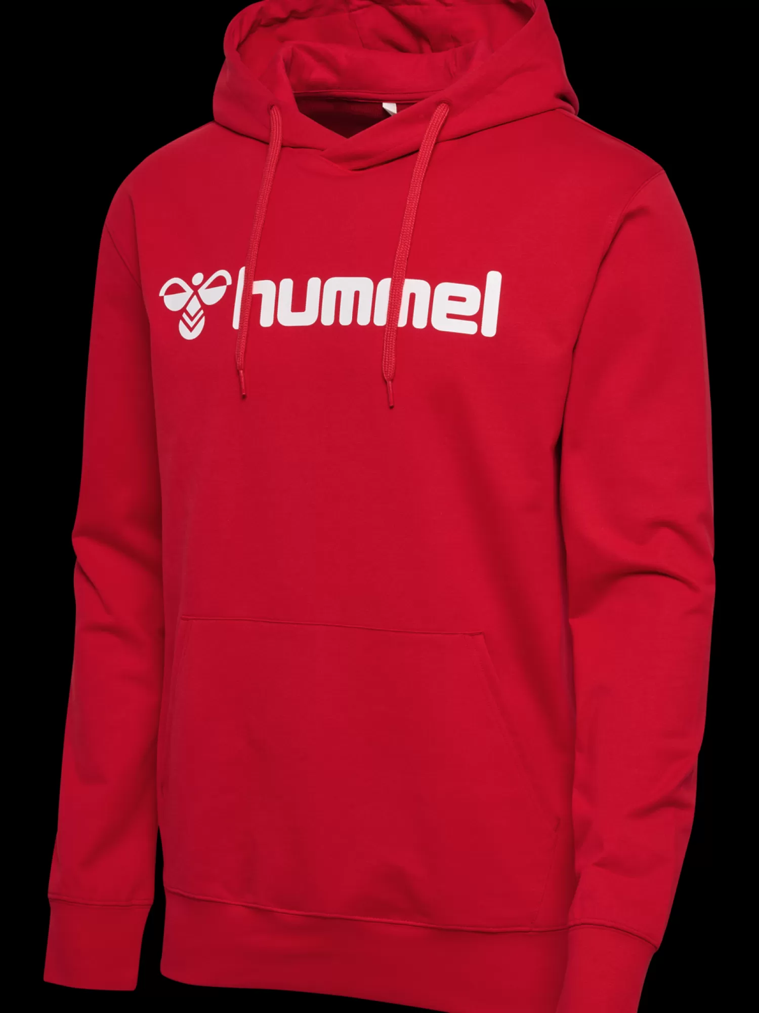 Hummel Hoodies and sweatshirts<hmlGO 2.0 LOGO HOODIE