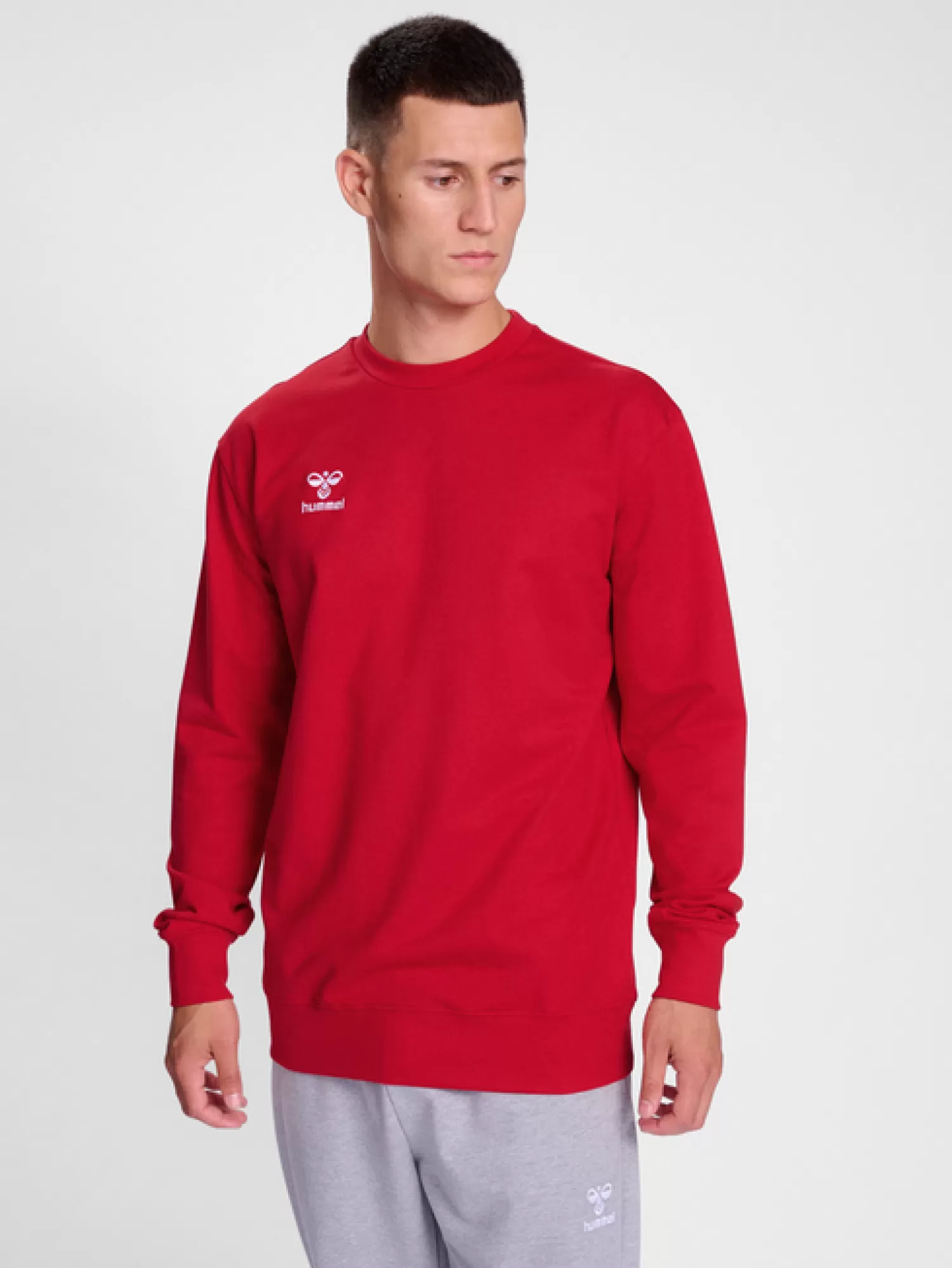 Hummel Hoodies and sweatshirts<hmlGO 2.0 SWEATSHIRT