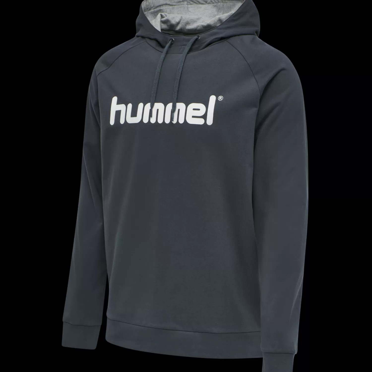 Hummel Hoodies and sweatshirts<HMLGO COTTON LOGO HOODIE