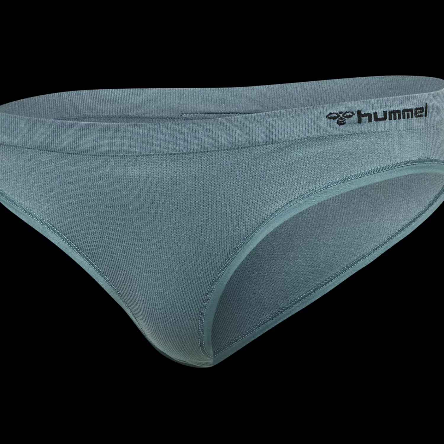 Hummel Underwear and socks | Training<hmlJUNO SEAMLESS HIPSTER