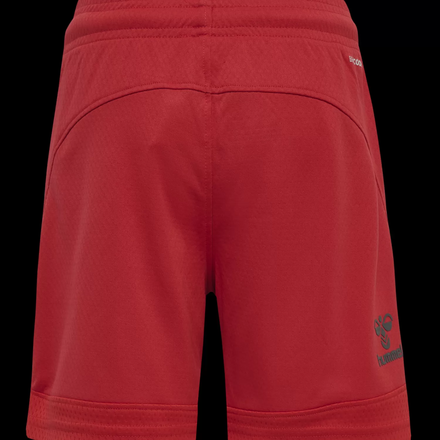 Hummel Handball shorts | Football shorts<hmlLEAD POLY SHORTS KIDS