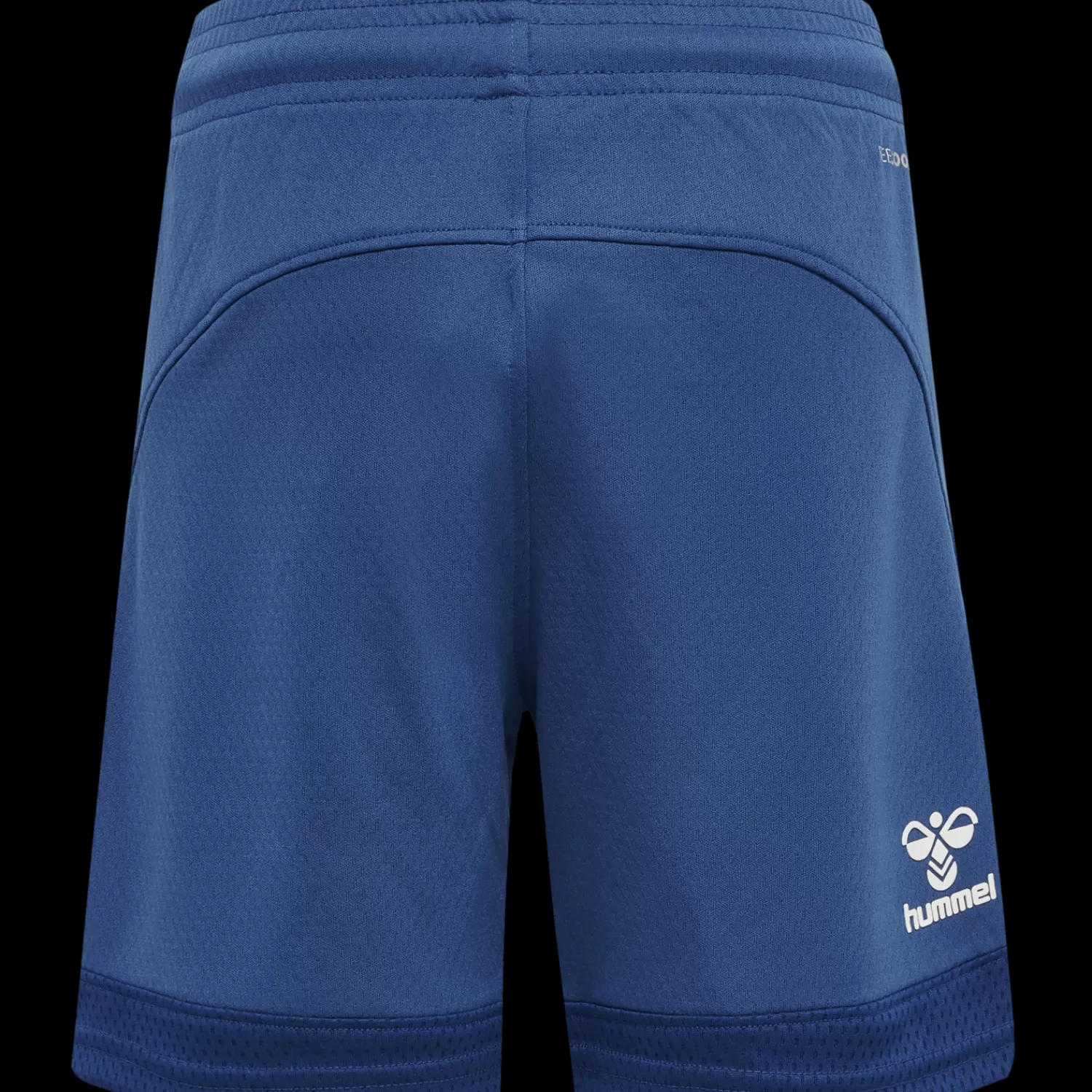 Hummel Handball shorts | Football shorts<hmlLEAD POLY SHORTS KIDS