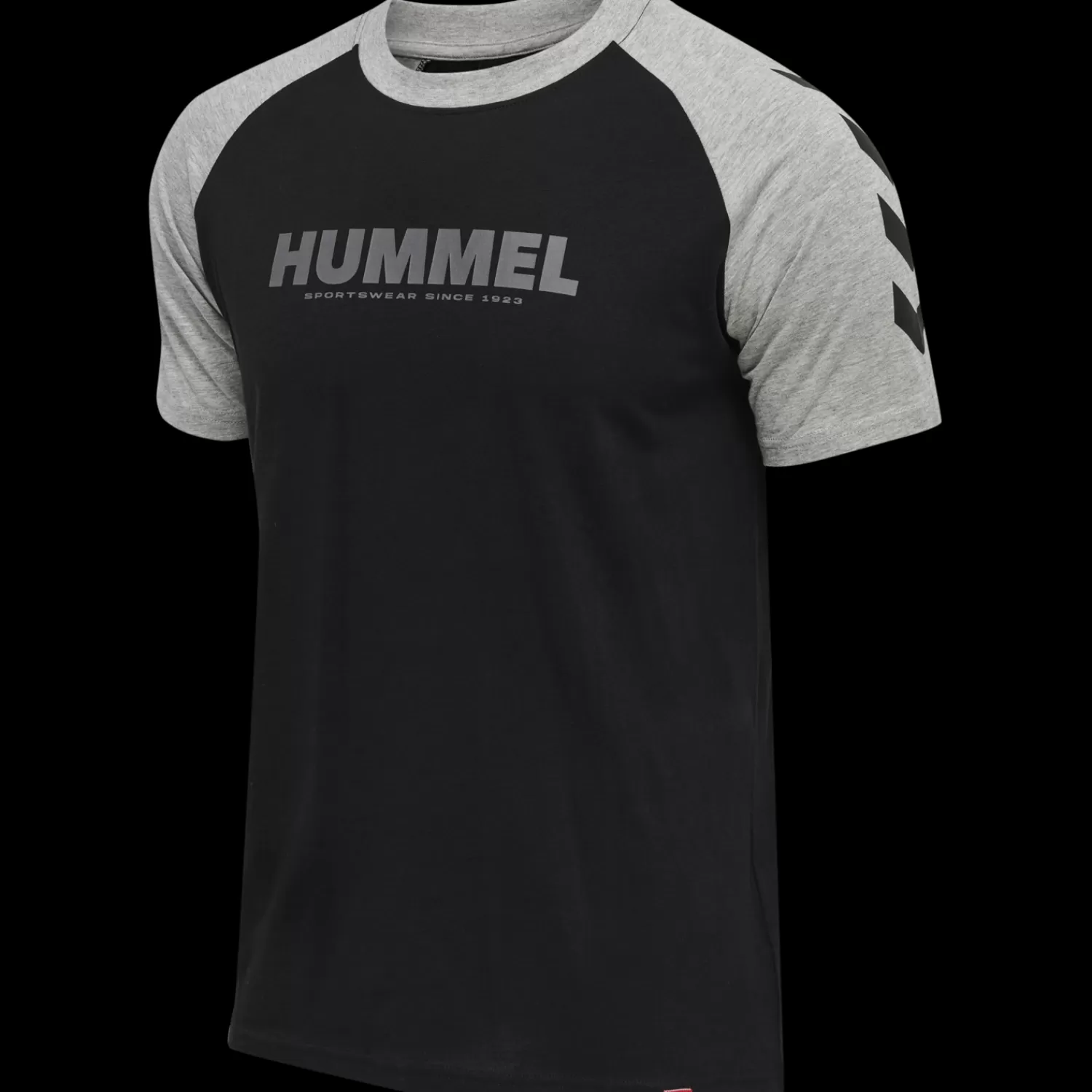 Hummel T-shirts | T-shirts<hmlLEGACY BLOCKED T-SHIRT