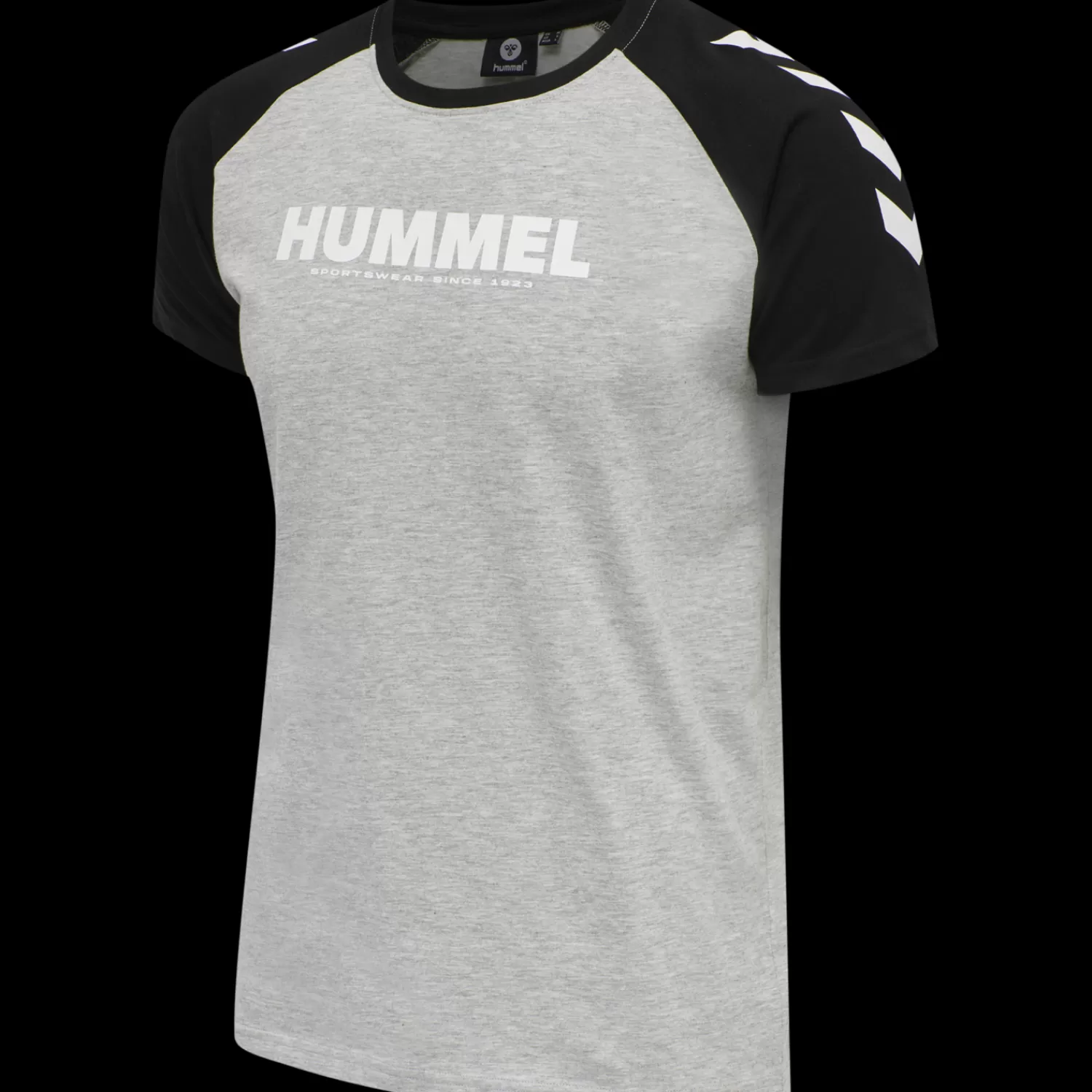 Hummel T-shirts | T-shirts<hmlLEGACY BLOCKED T-SHIRT