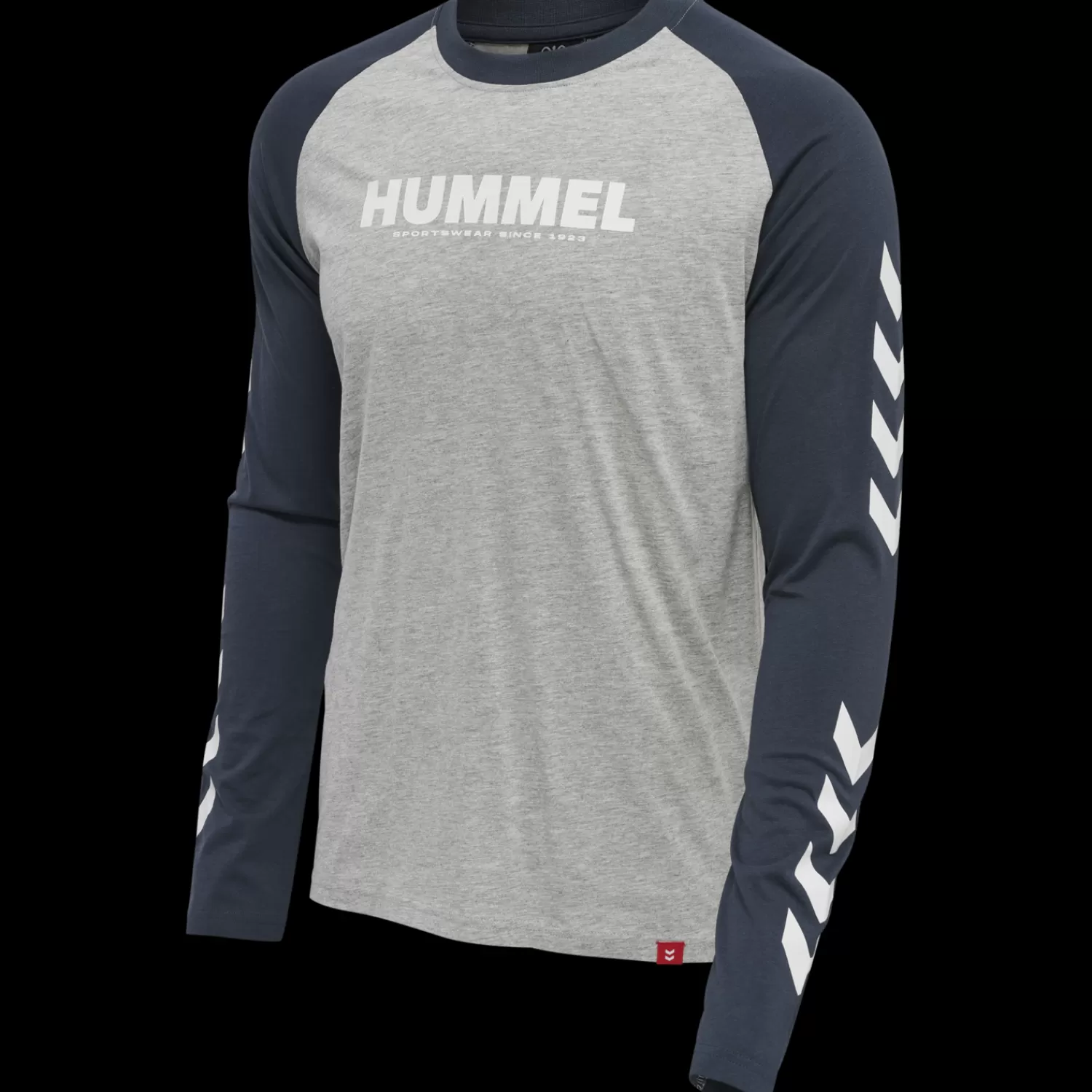 Hummel T-shirts | T-shirts<hmlLEGACY BLOCKED T-SHIRT L/S