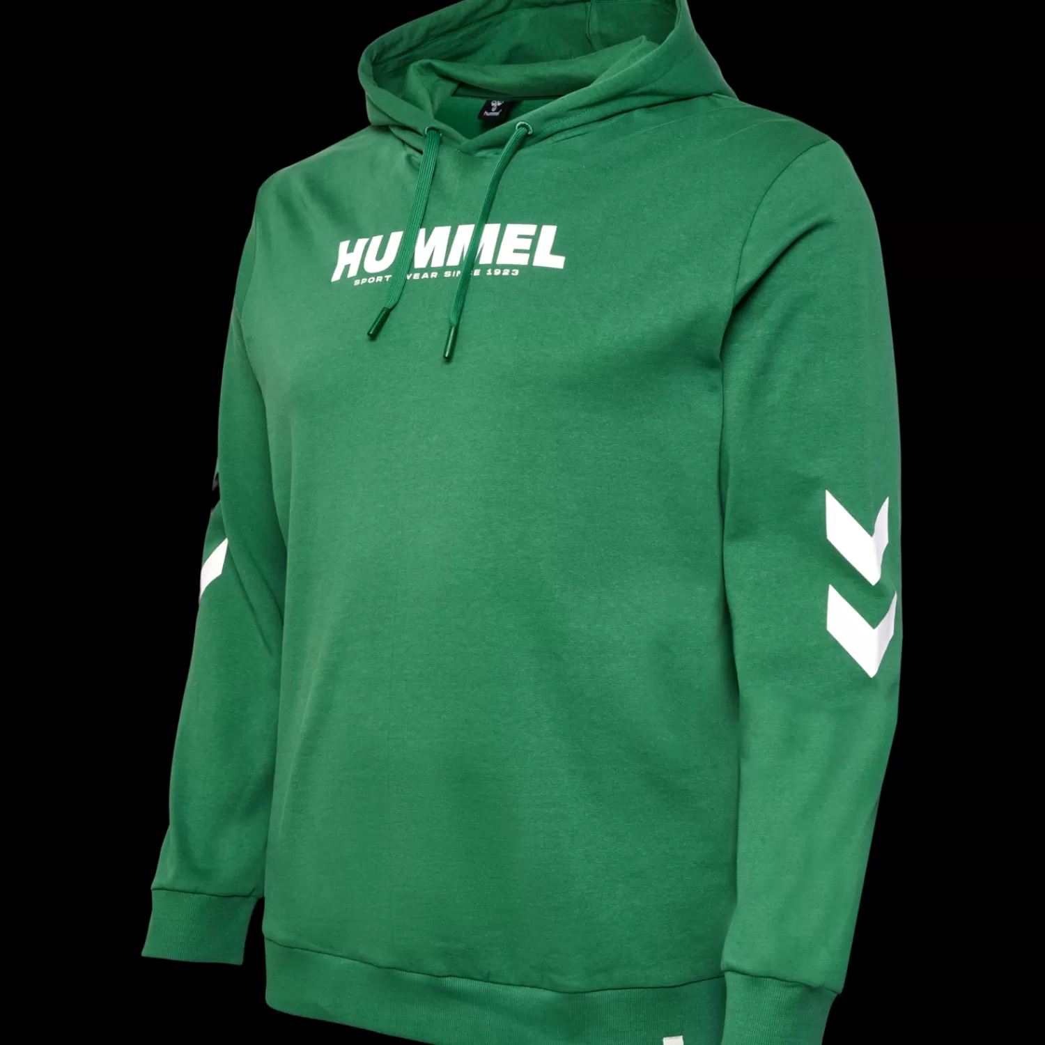 Hummel Hoodies and sweatshirts<hmlLEGACY LOGO HOODIE PLUS