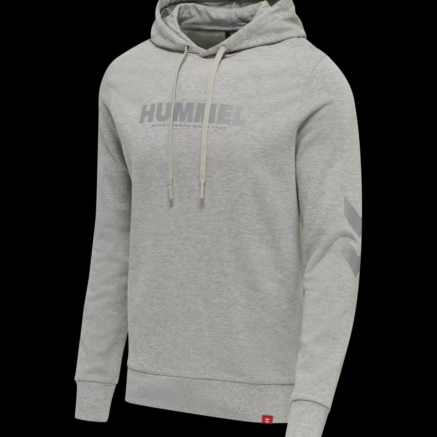 Hummel Hoodies and sweatshirts<hmlLEGACY LOGO HOODIE PLUS