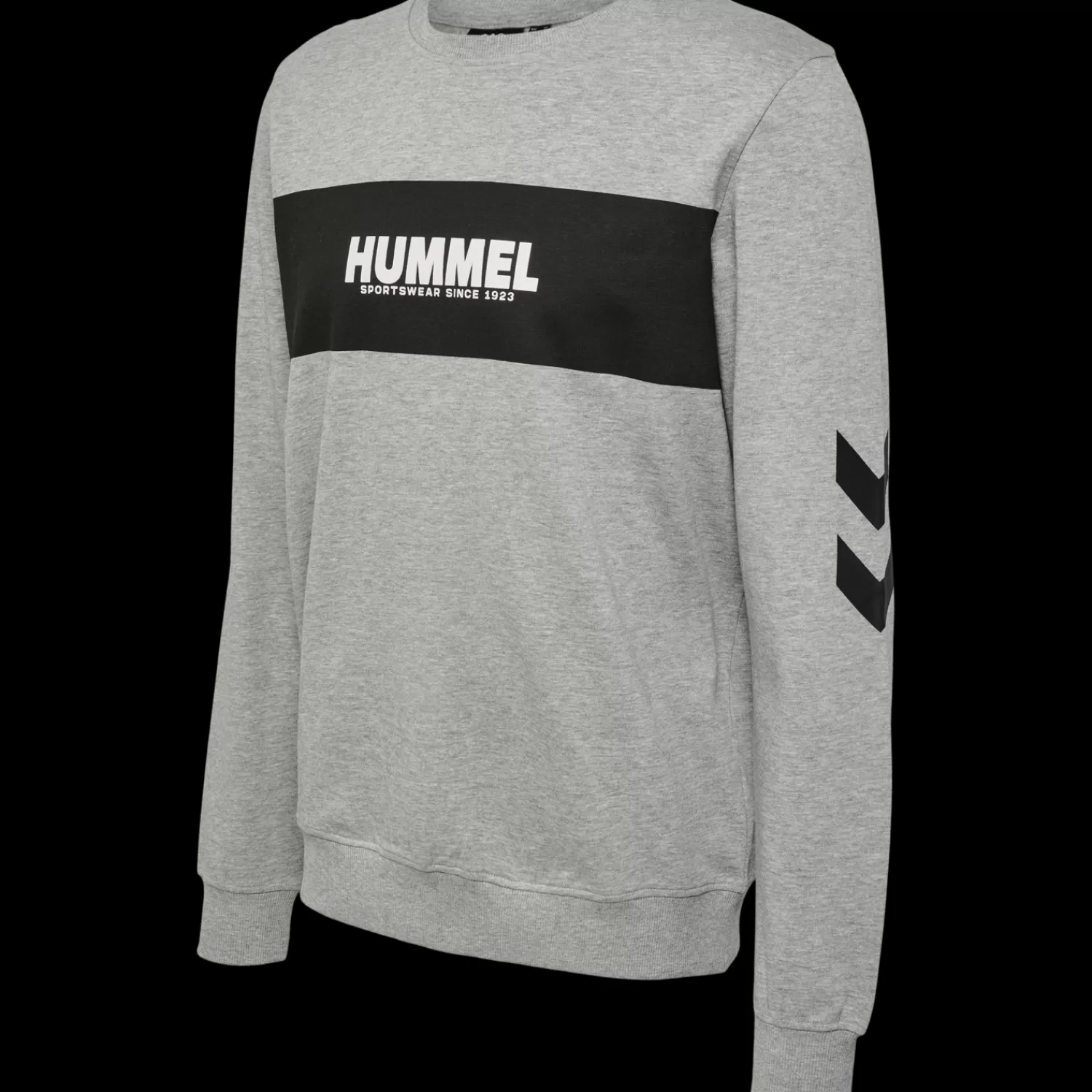 Hummel Hoodies and sweatshirts<hmlLEGACY SEAN SWEATSHIRT