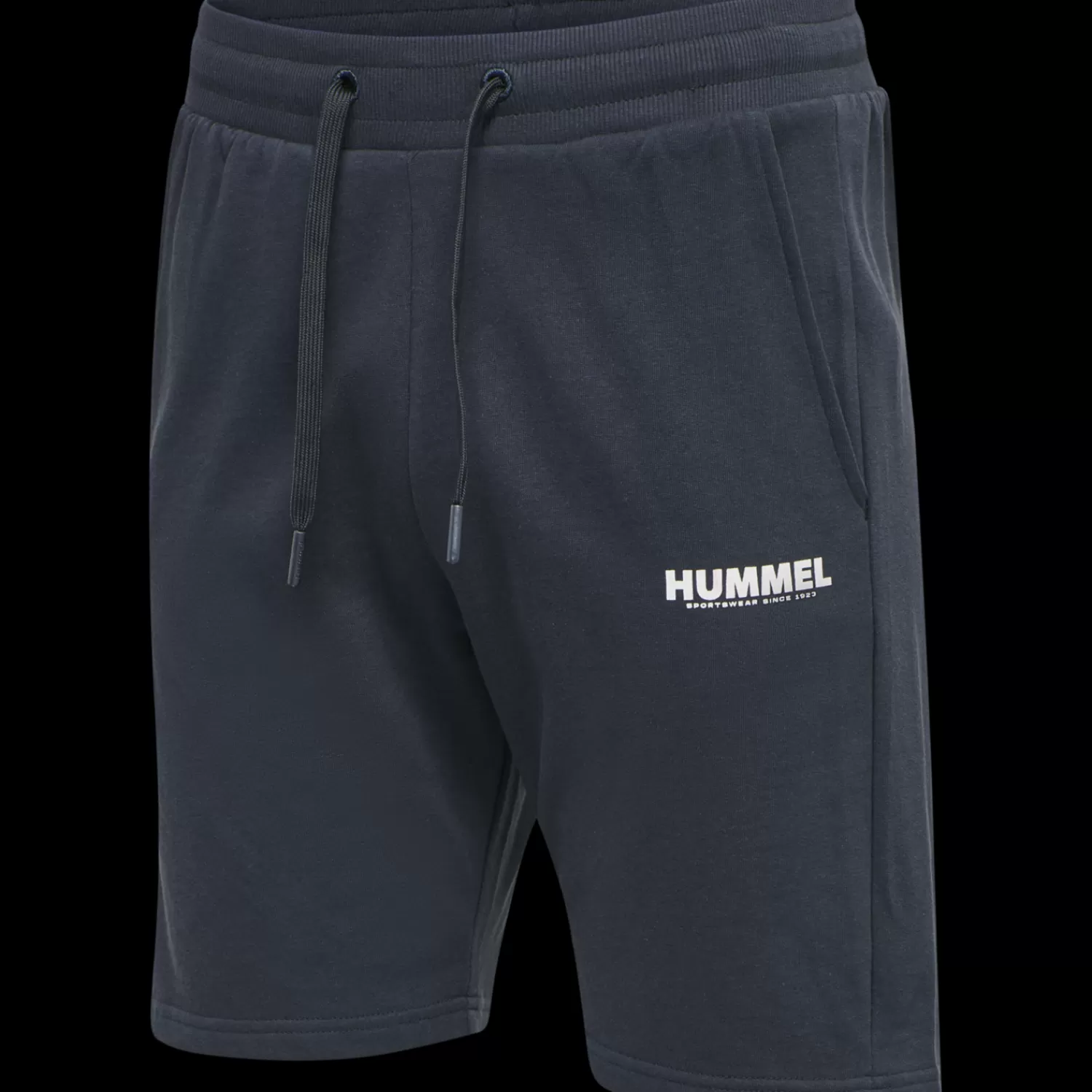 Hummel Shorts<hmlLEGACY SHORTS PLUS