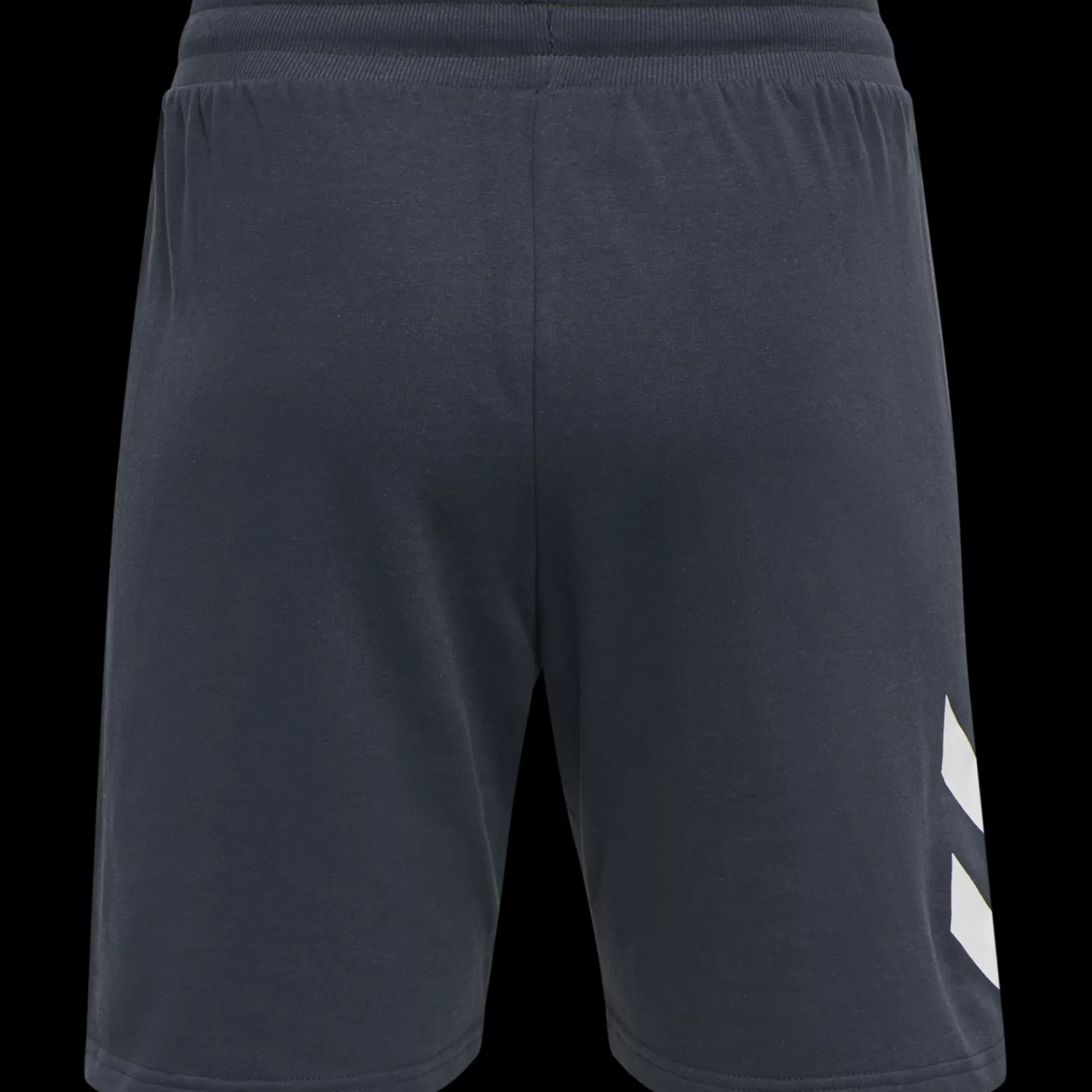 Hummel Shorts<hmlLEGACY SHORTS PLUS