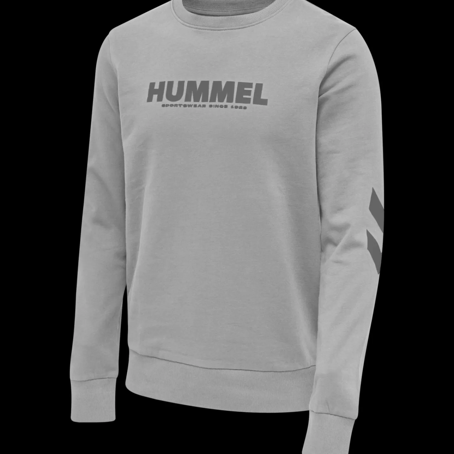 Hummel Hoodies and sweatshirts<hmlLEGACY SWEATSHIRT PLUS