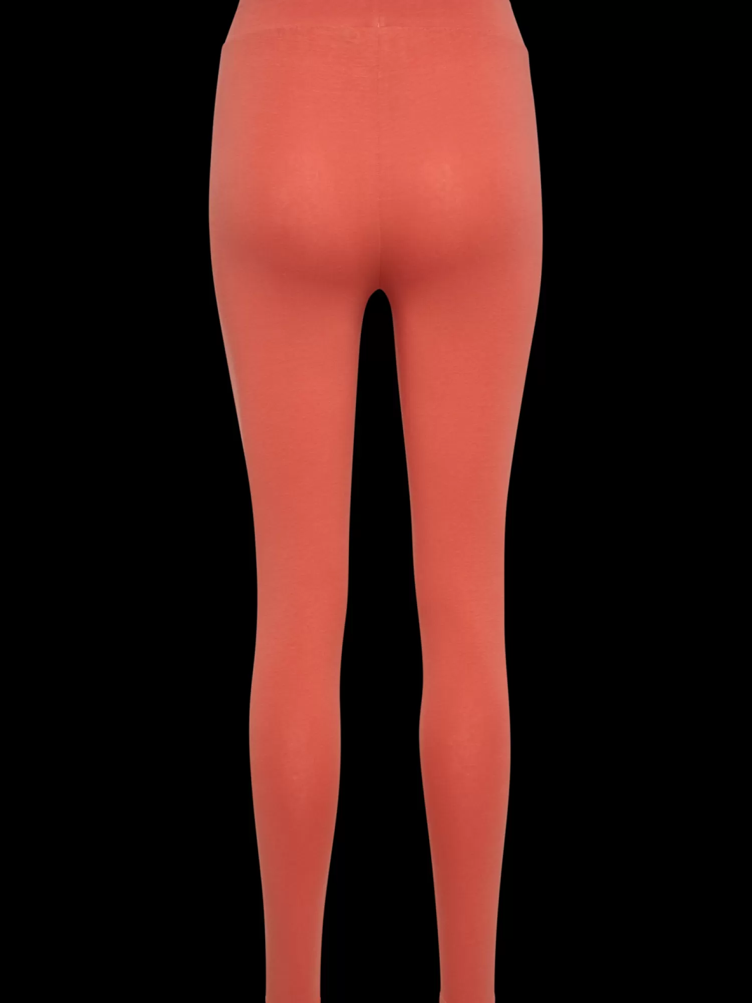 Hummel Tights | Tights<hmlLEGACY WOMAN HIGH WAIST TIGHTS