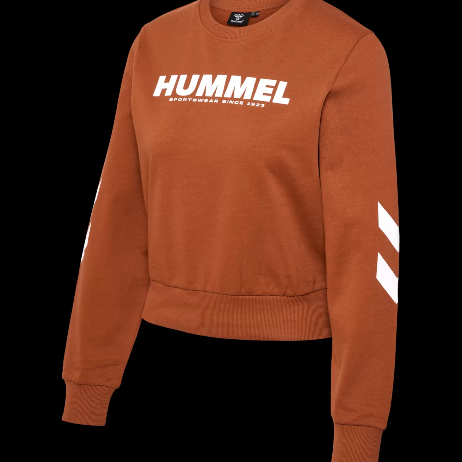 Hummel Hoodies and sweatshirts<hmlLEGACY WOMAN SWEATSHIRT