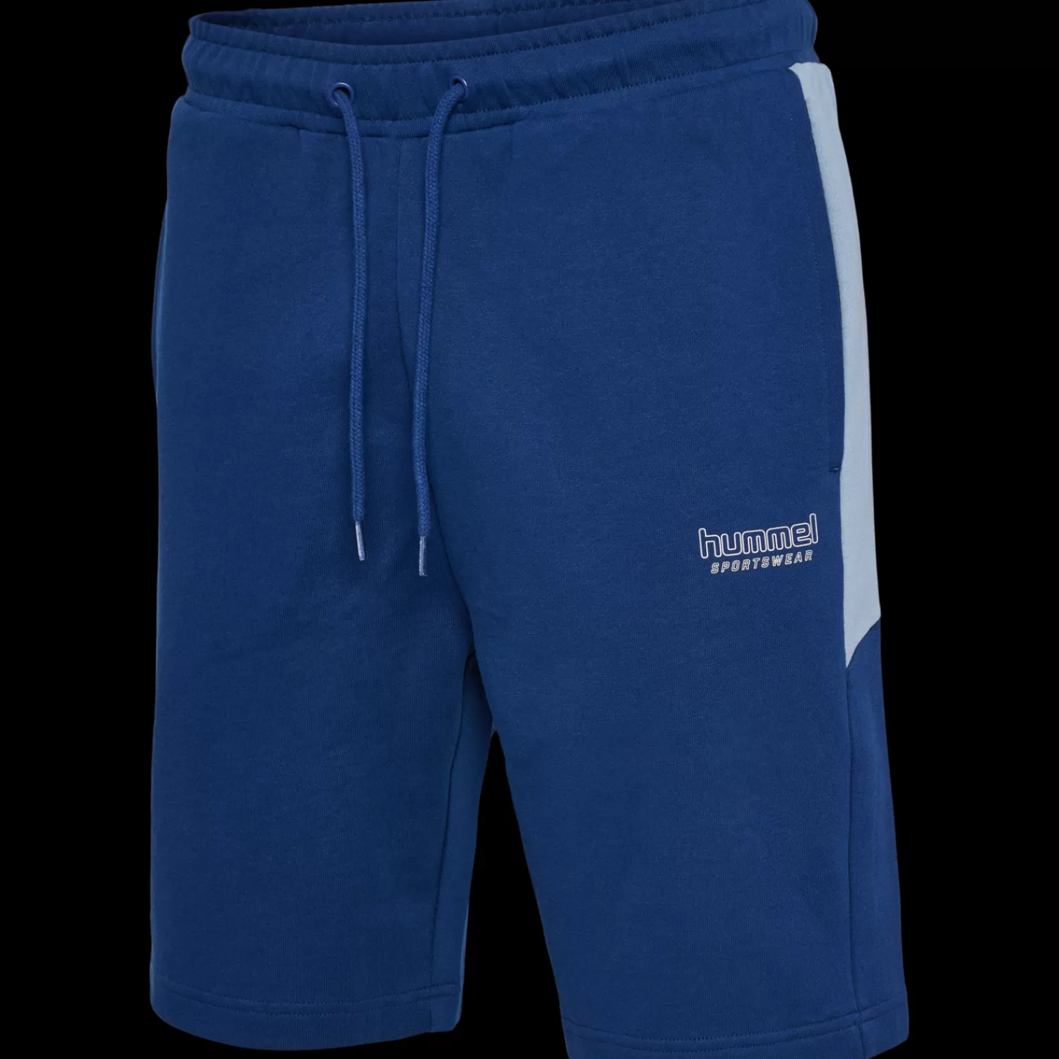 Hummel Shorts<hmlLGC BRYCE SWEATSHORTS