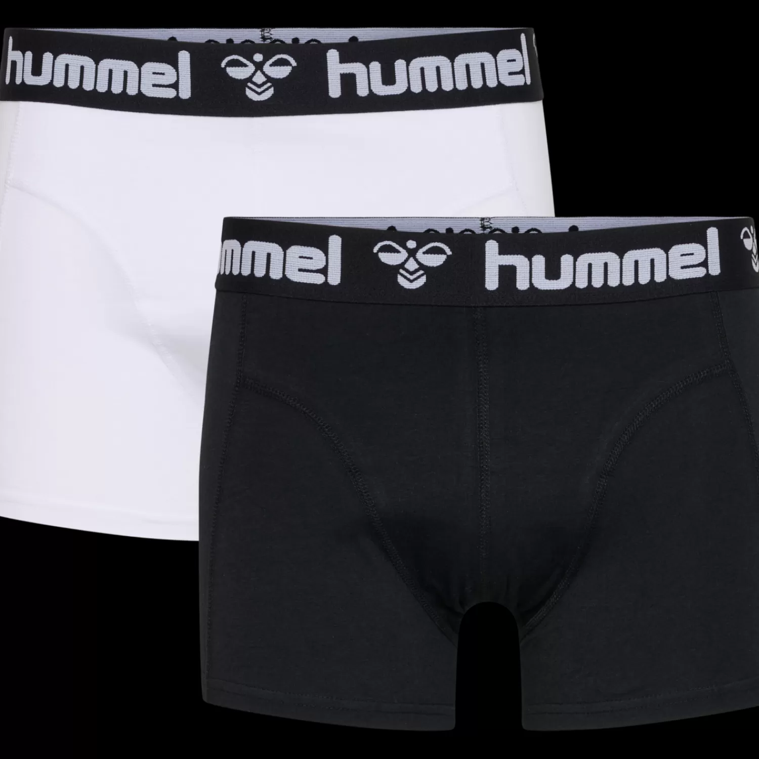 Hummel Underwear and socks<HMLMARS 2PACK BOXERS