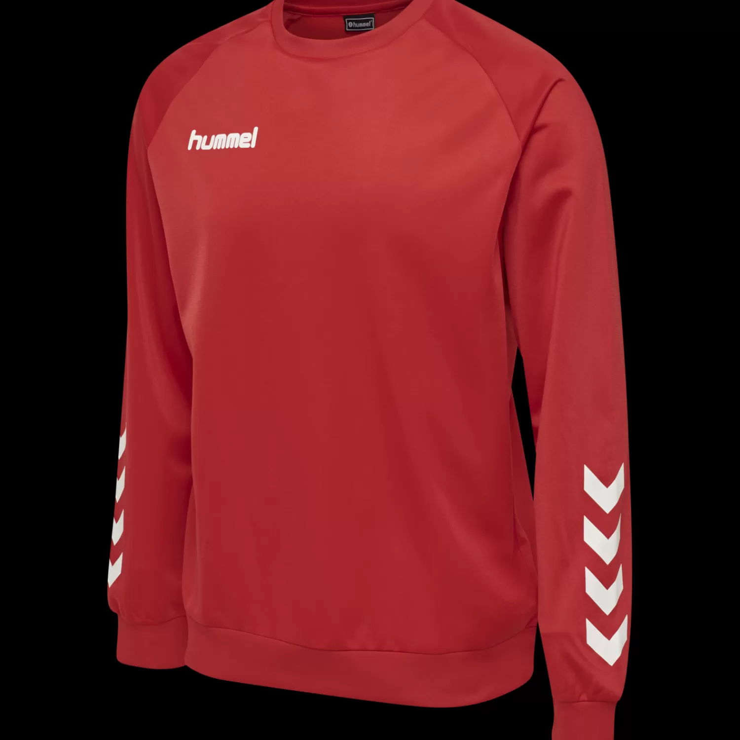 Hummel Jerseys<hmlPROMO KIDS POLY SWEATSHIRT