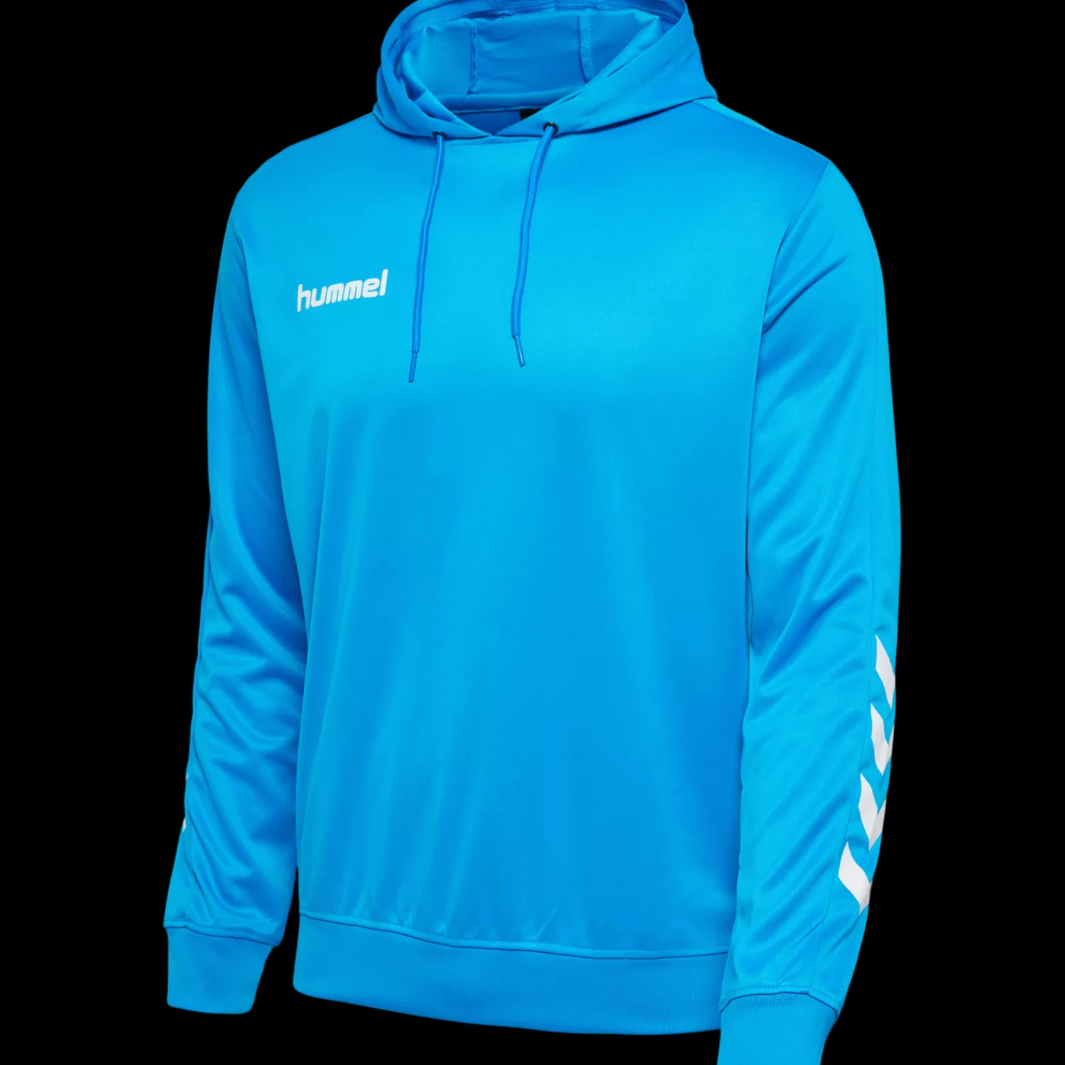 Hummel Hoodies and sweatshirts | Football<hmlPROMO POLY HOODIE