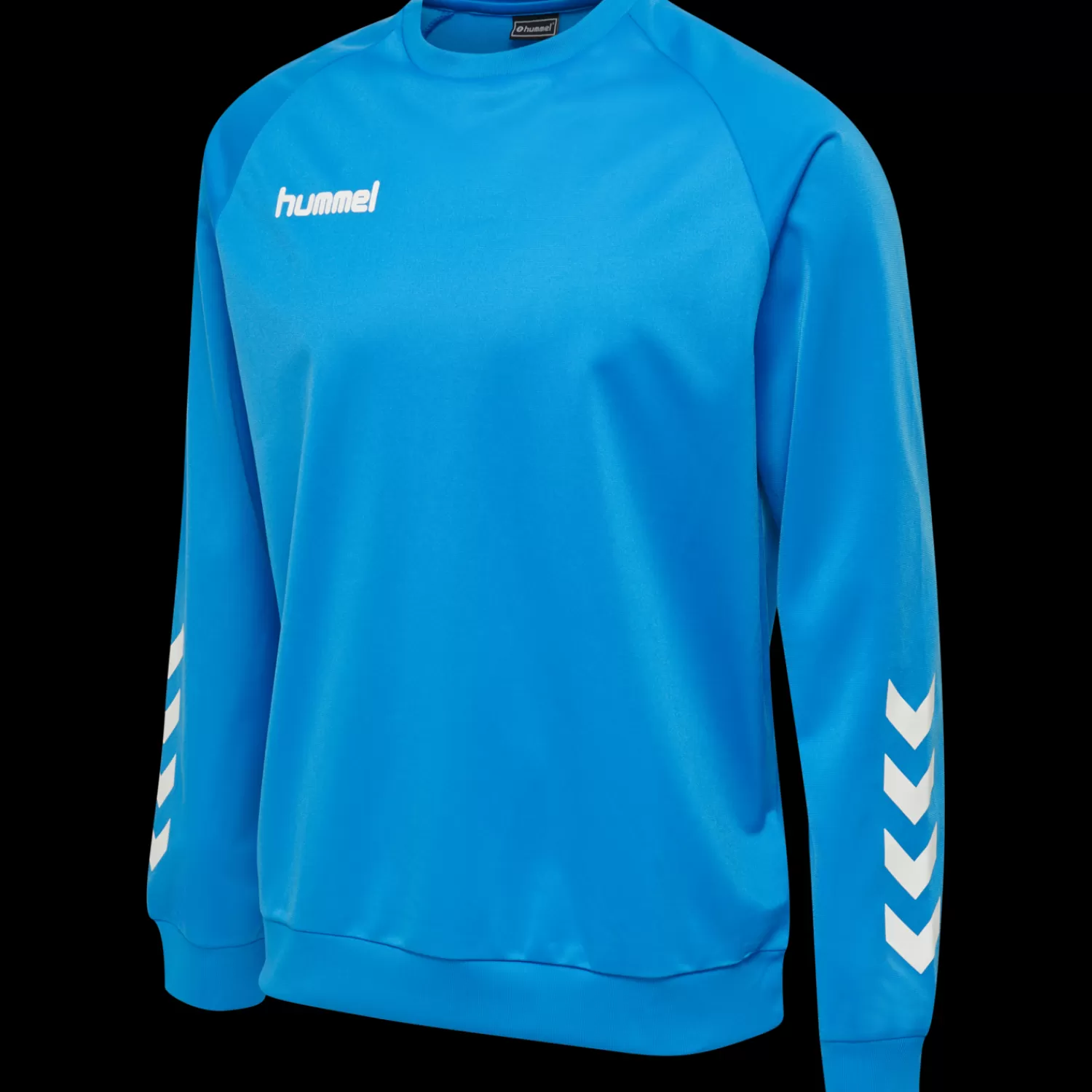 Hummel Hoodies and sweatshirts<hmlPROMO POLY SWEATSHIRT