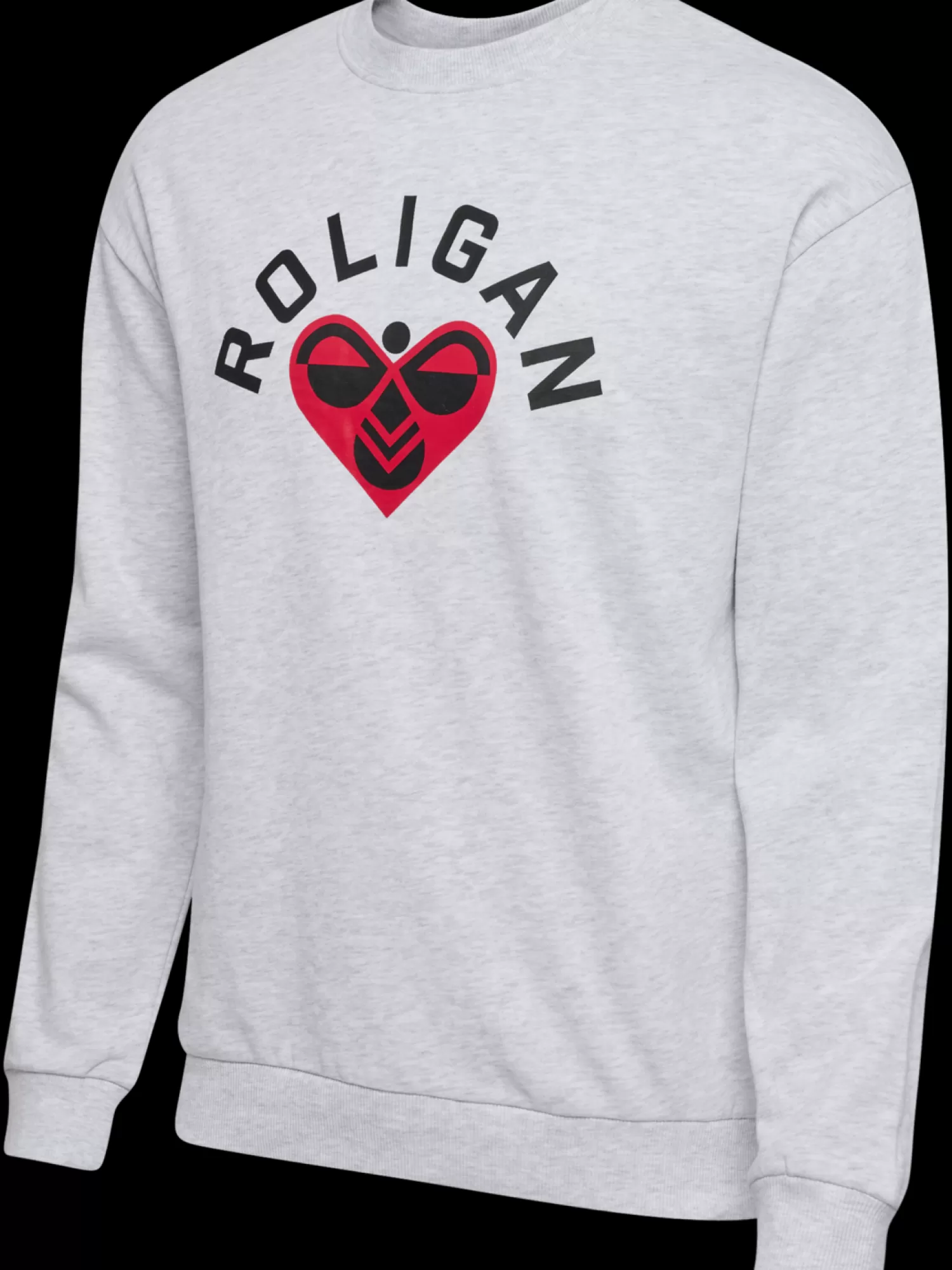 Hummel Hoodies and sweatshirts<hmlROLIGAN SWEATSHIRT