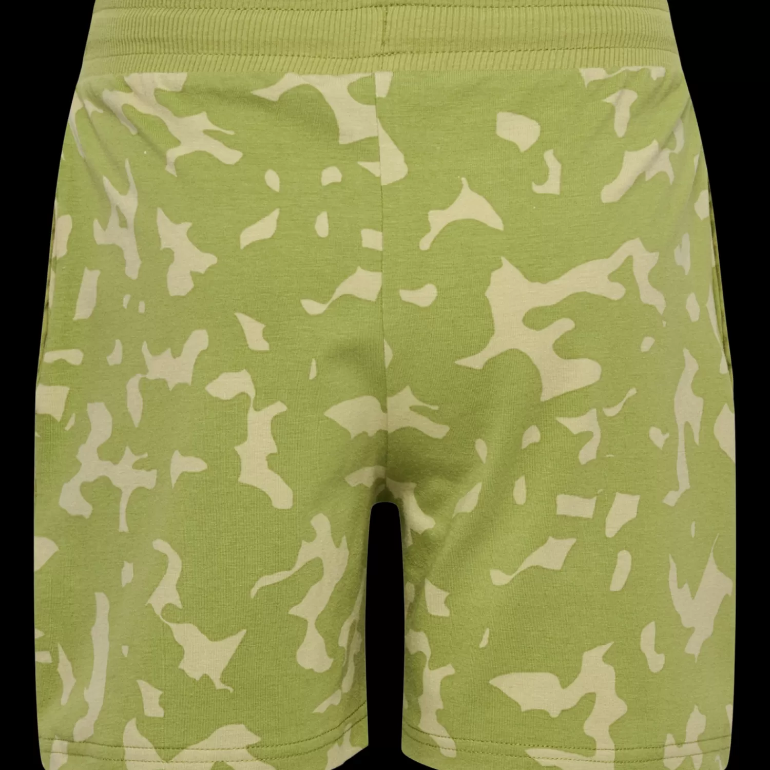 Hummel Shorts<hmlRUSH AOP SHORTS