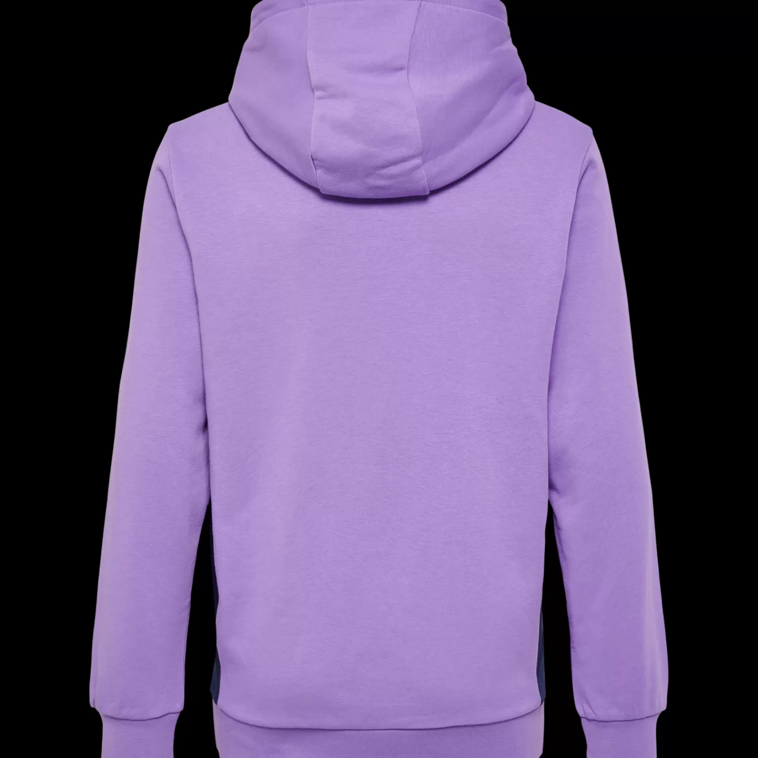 Hummel Jerseys<hmlSTALTIC COTTON HOODIE KIDS