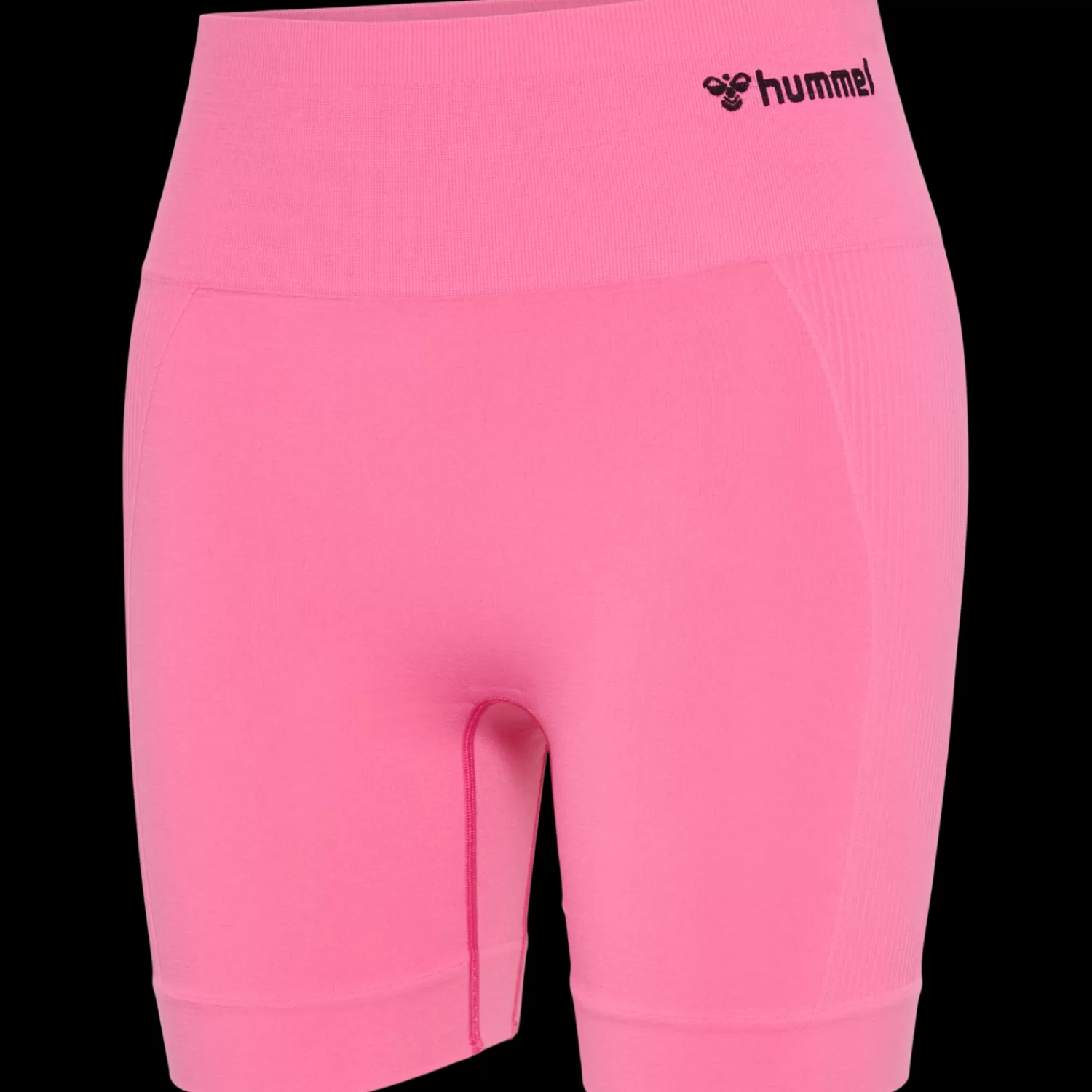 Hummel Shorts | Shorts<hmlTIF SEAMLESS SHORTS