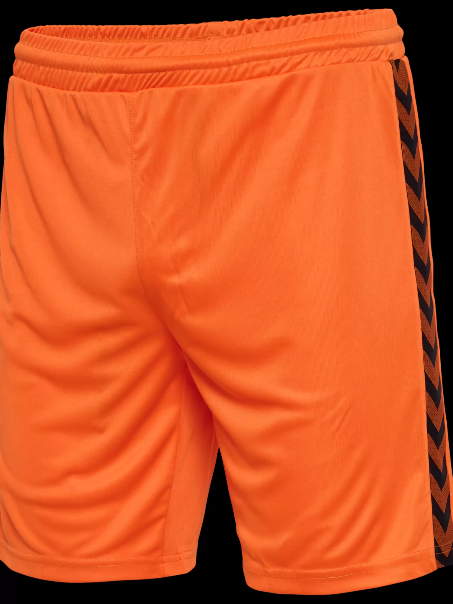 Hummel Germany<WER 23/24 GK SHORTS